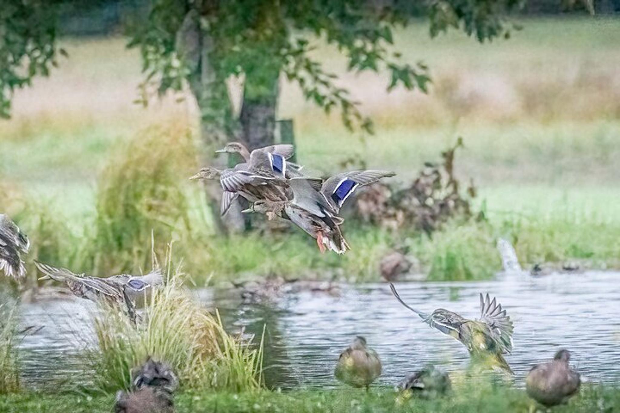 Denali Photo Workshop - Image 6