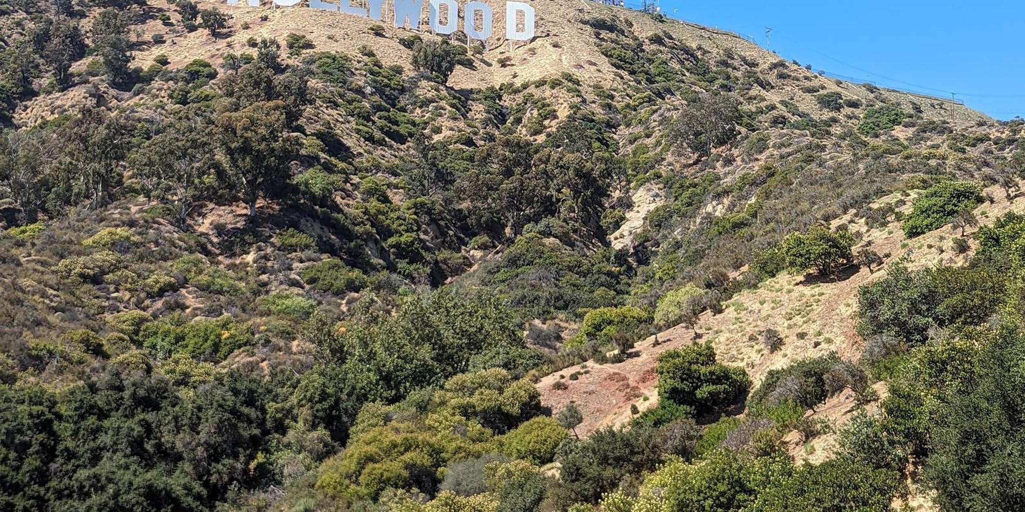 Los Angeles Private Tour in a 1965 Mustang Convertible - Image 4