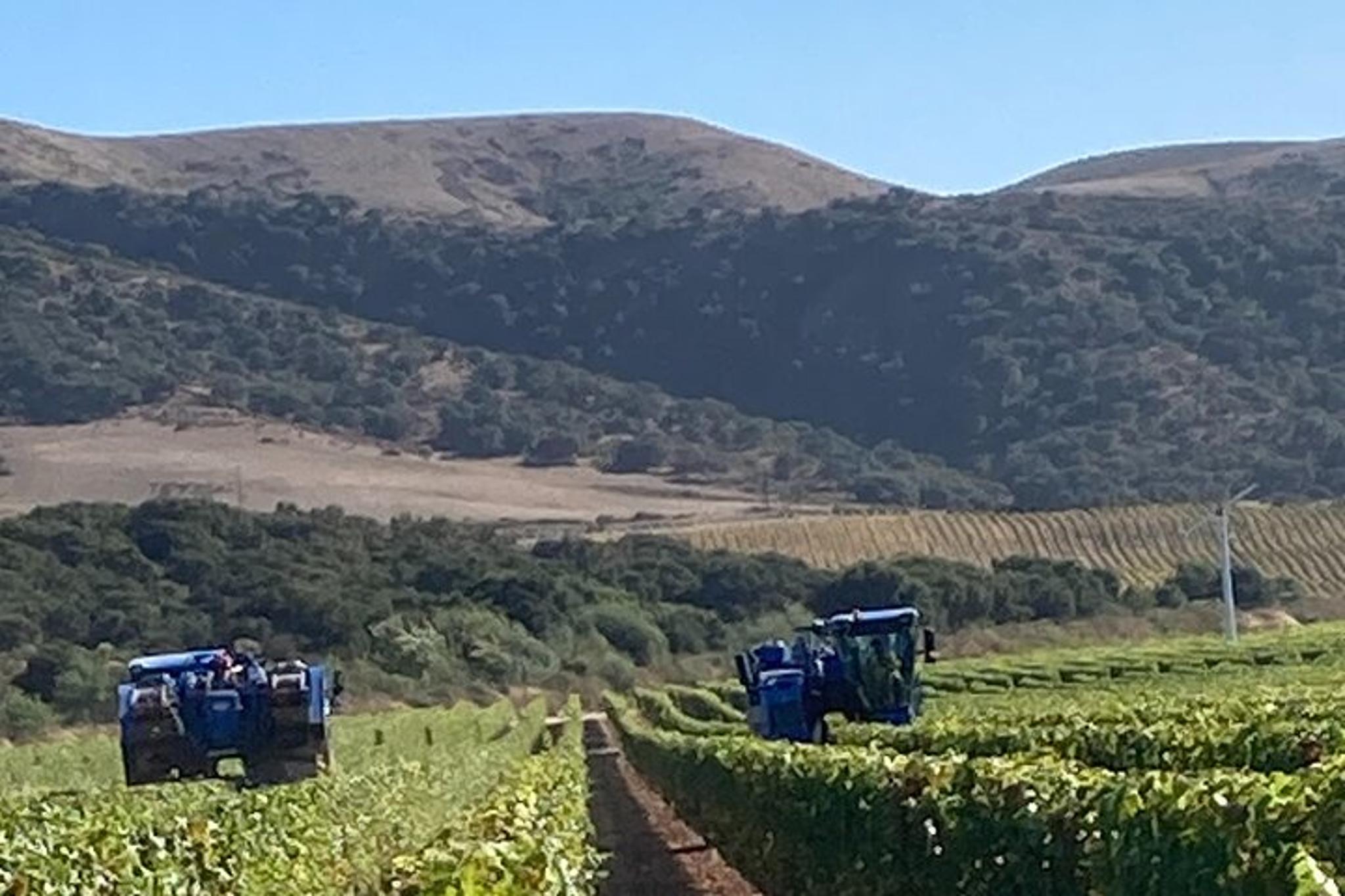 Santa Barbara Wine Tour - Image 4