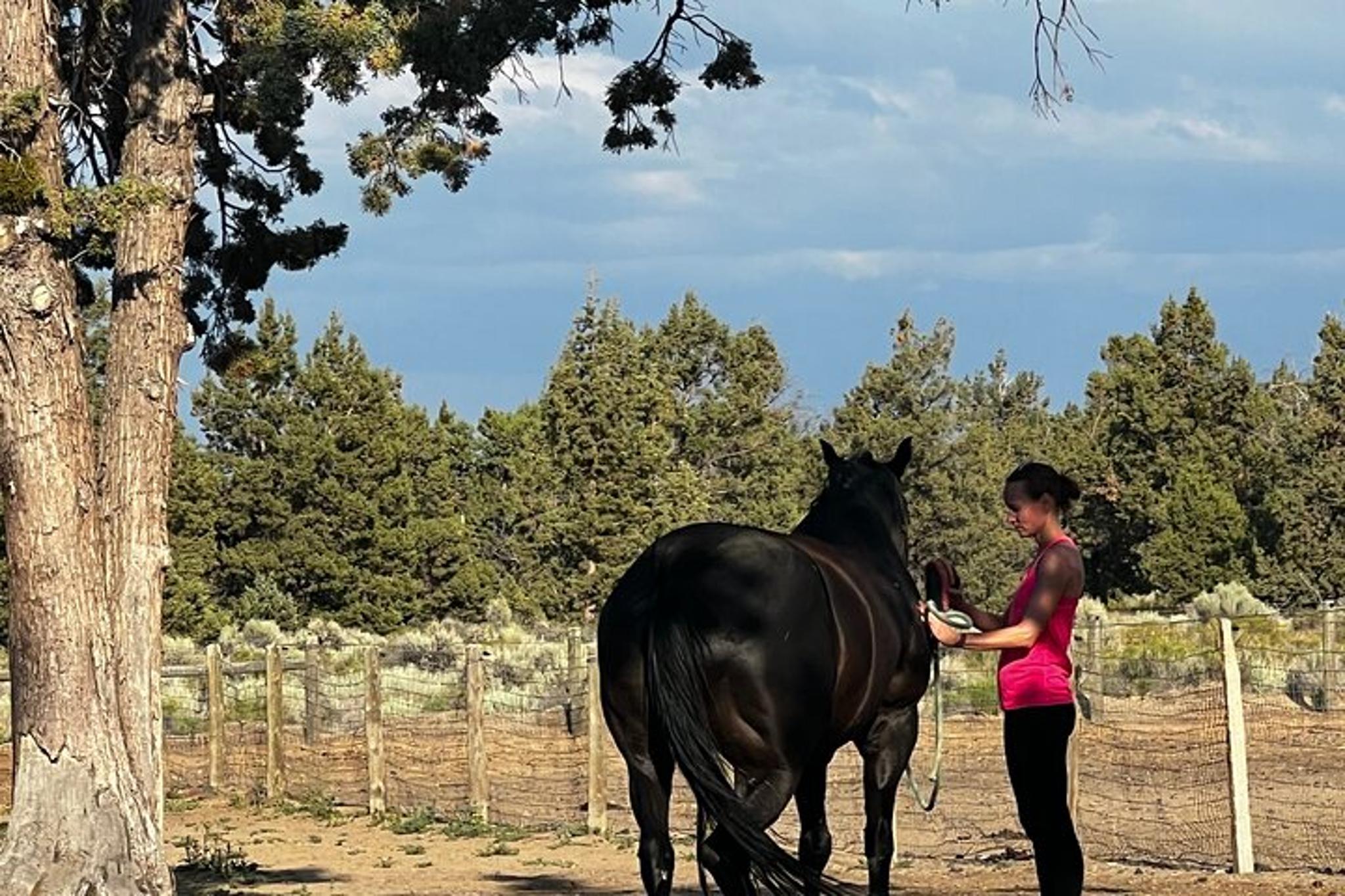 Oregon Horse Meditation Experience 1.5 hr - Image 3