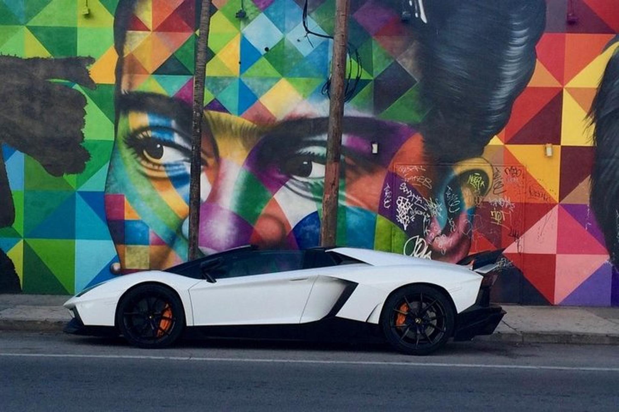 Miami Street Art Tour in Wynwood - French Guided - Image 3
