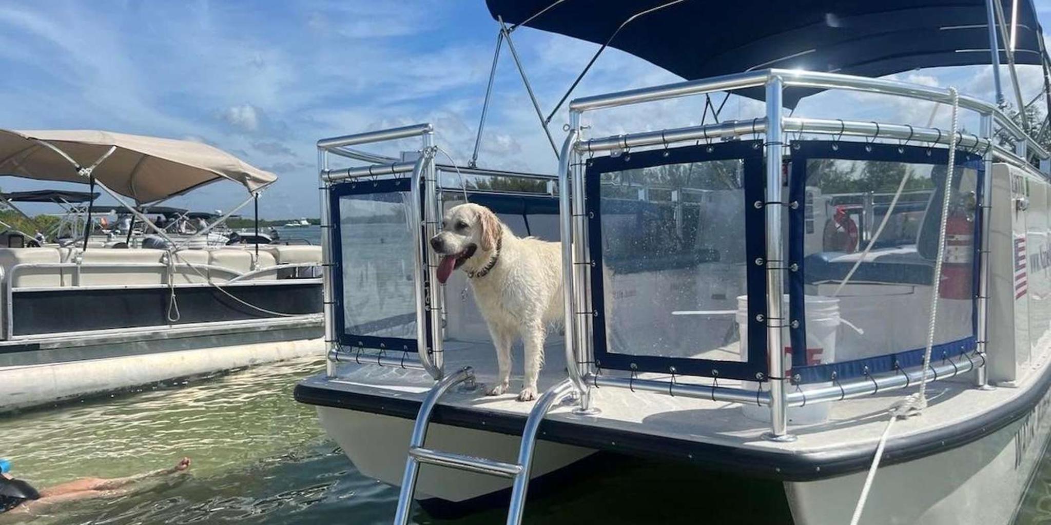 Naples Sunset Cruise in Naples Bay - Image 3