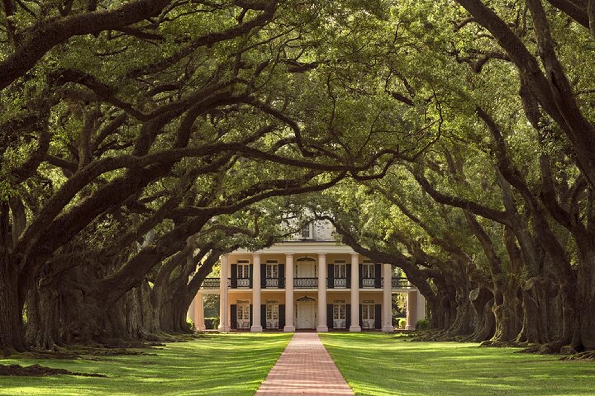 New Orleans Plantation and Swamp Tour - Image 2