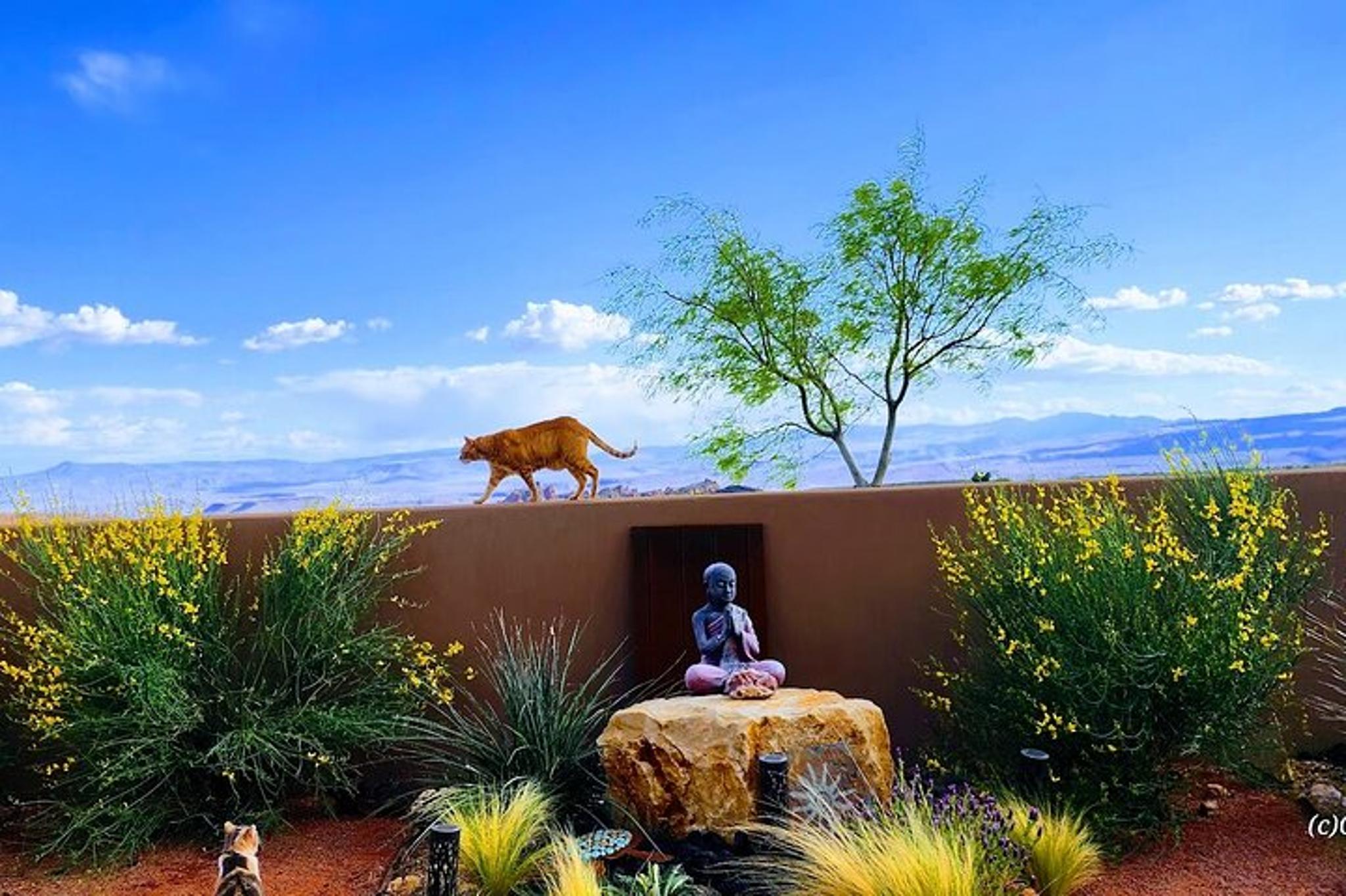 St. George Yoga Experience in Zen Garden 1 hr - Image 4