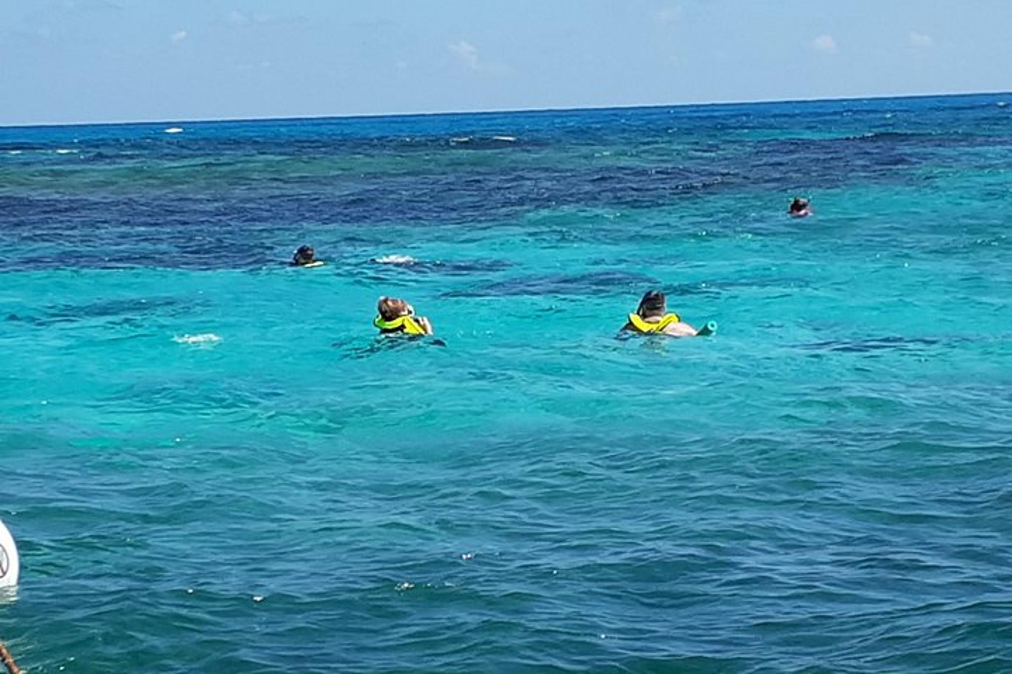 Key Largo Snorkel Tour at John Pennekamp Coral Reef - Image 3
