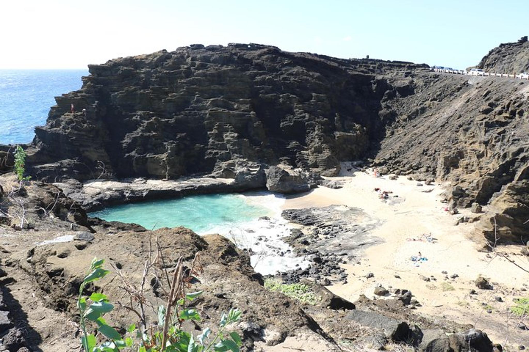 Oahu Private Island Tour: Waikiki, North Shore, Dole Plantation - Image 6