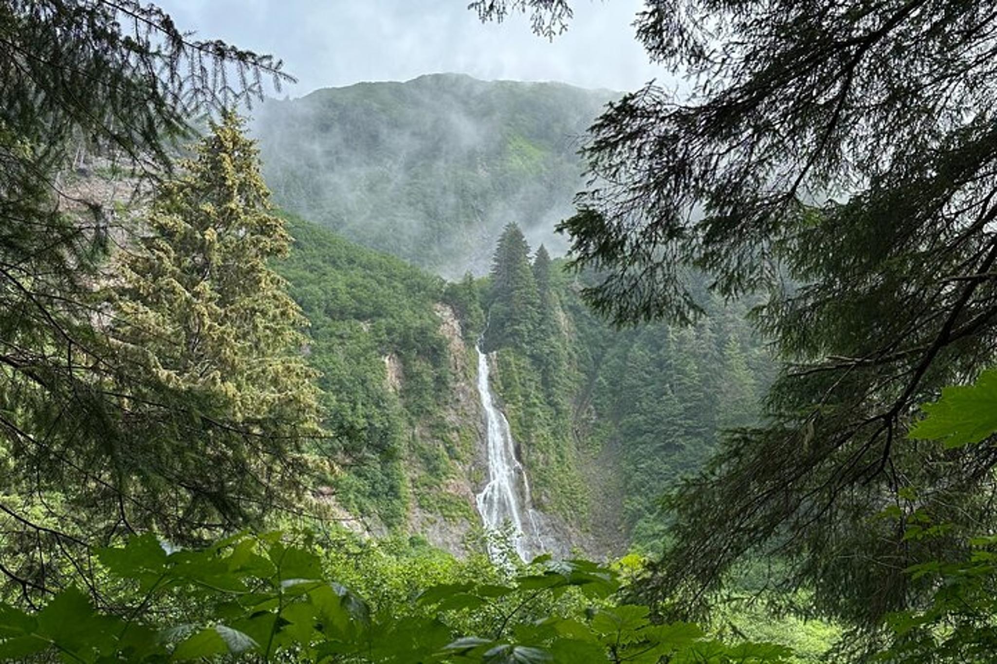 Sitka Guided Hike - Image 1