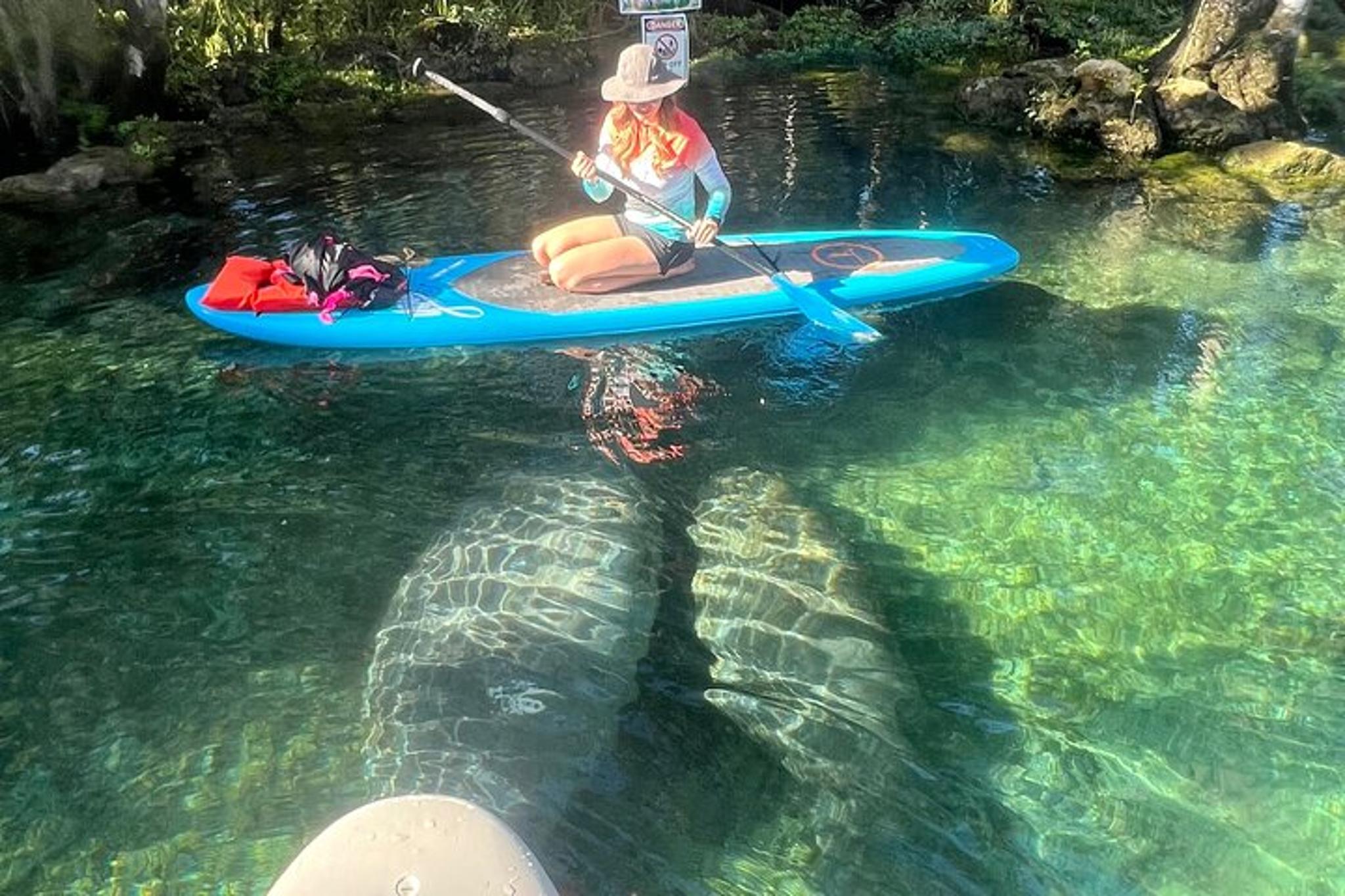 Crystal River Paddle Board Rental 3 Hr
