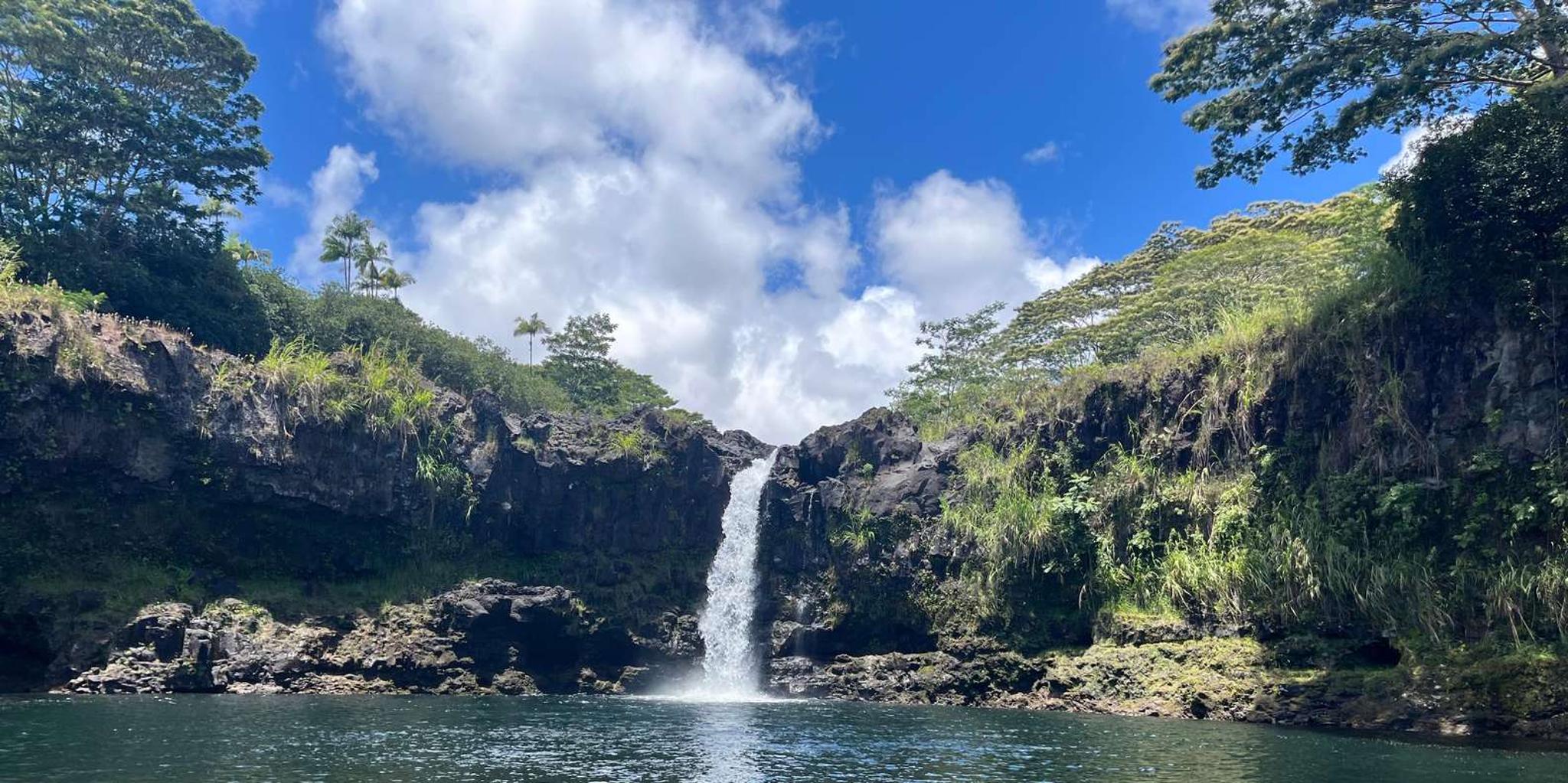 Hilo Waterfall Hike and Swim with Native Hawaiian