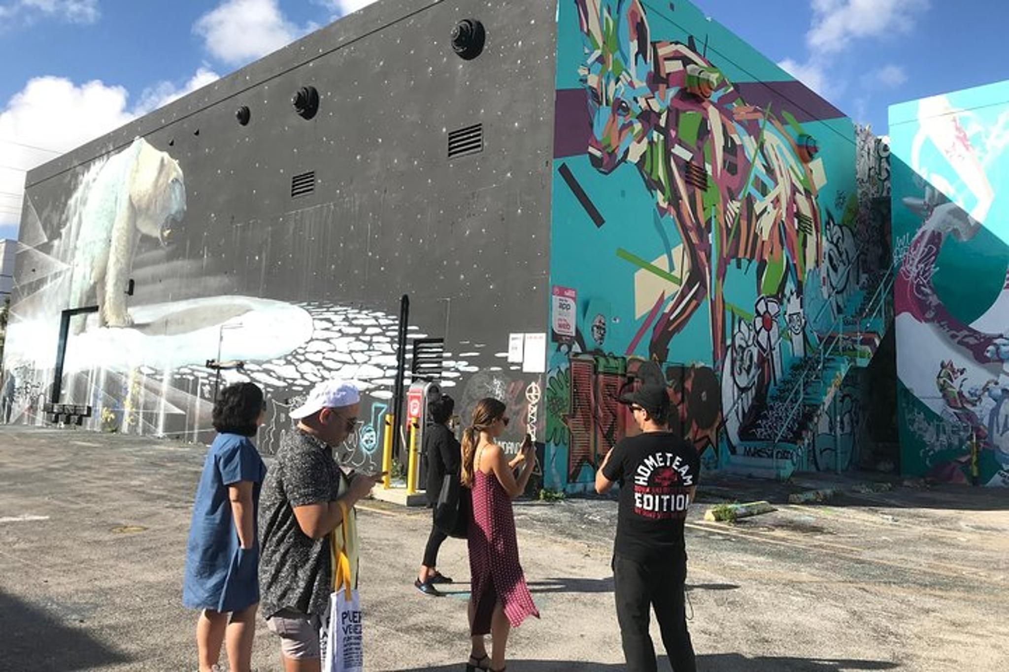 Miami Graffiti Tour in Wynwood 1 hr - Image 1