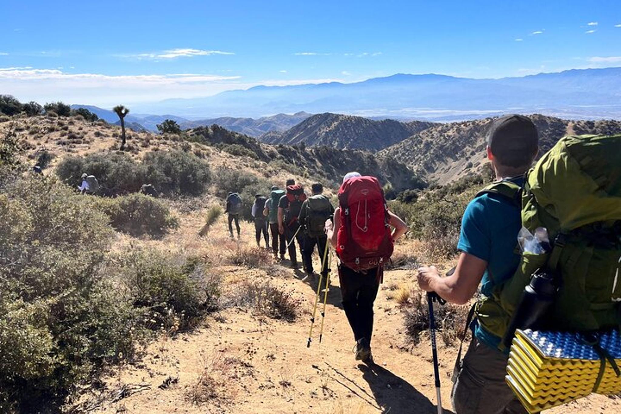 Joshua Tree National Park Adventure - Image 1