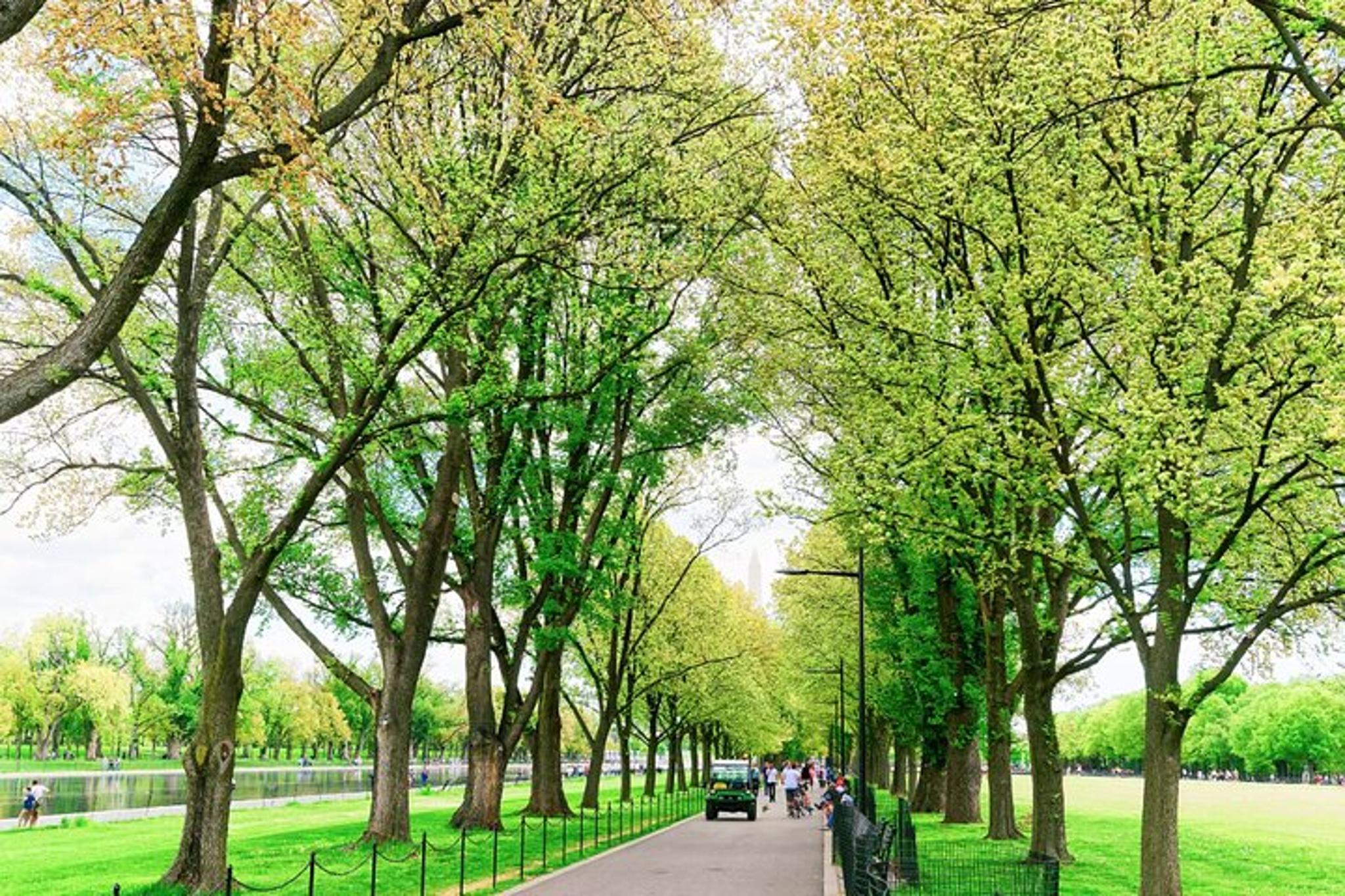 Washington D.C. National Mall Audio Tour - Image 4