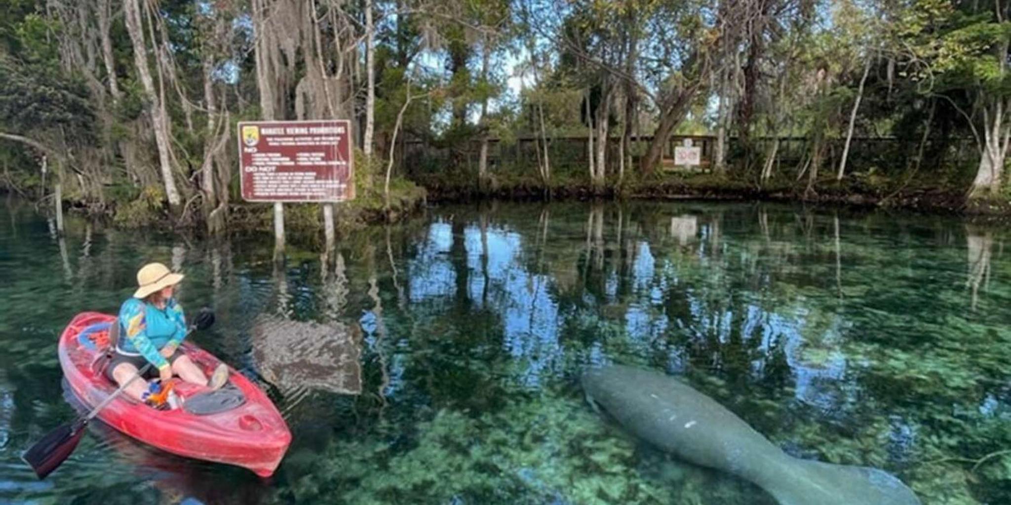 Crystal River Kayak Rental - Image 5