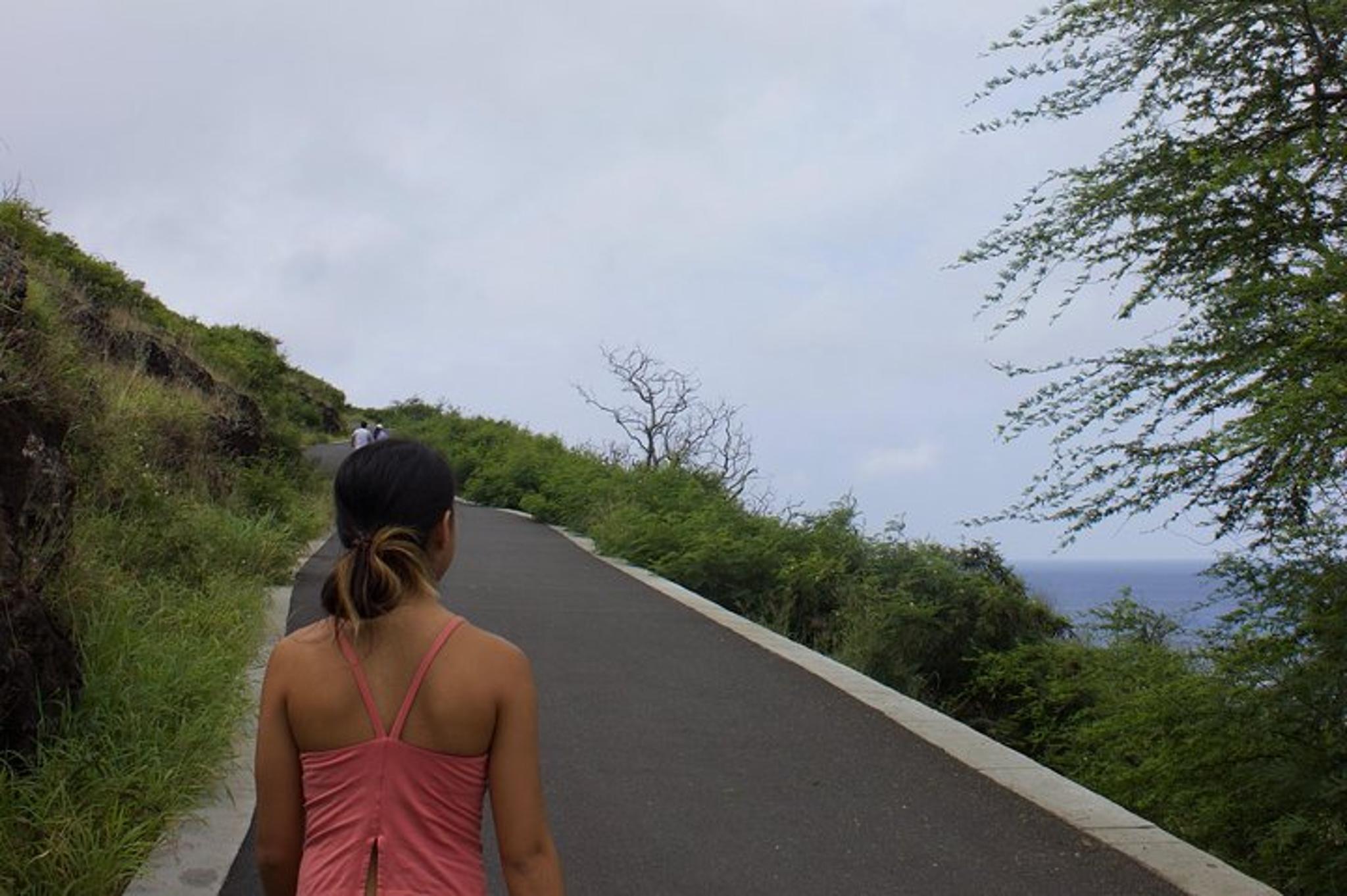 Hawaii Snorkeling and Hiking Adventure - Image 4