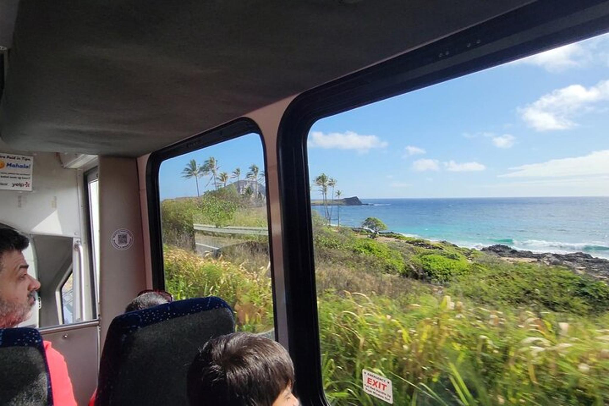 Oahu Snorkeling Tour with Turtles - Image 4