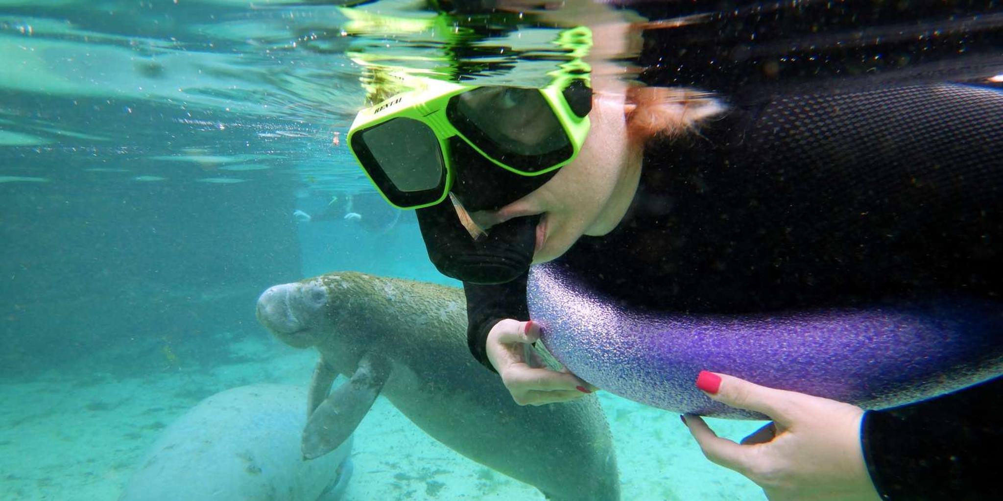Crystal River Manatee Swim with Photographer 3 hr - Image 2