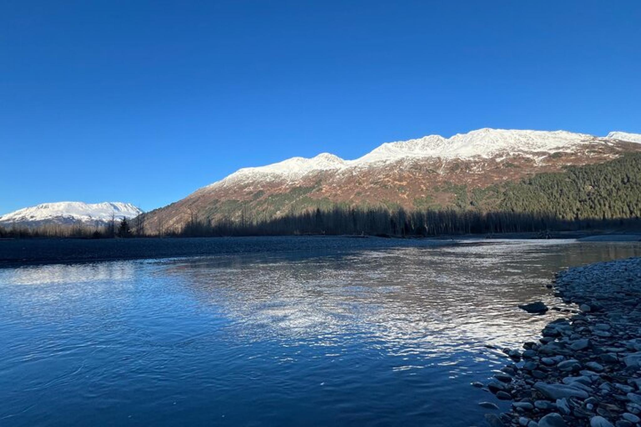 Anchorage Wildlife Sanctuary and Glacier Hike - Image 2