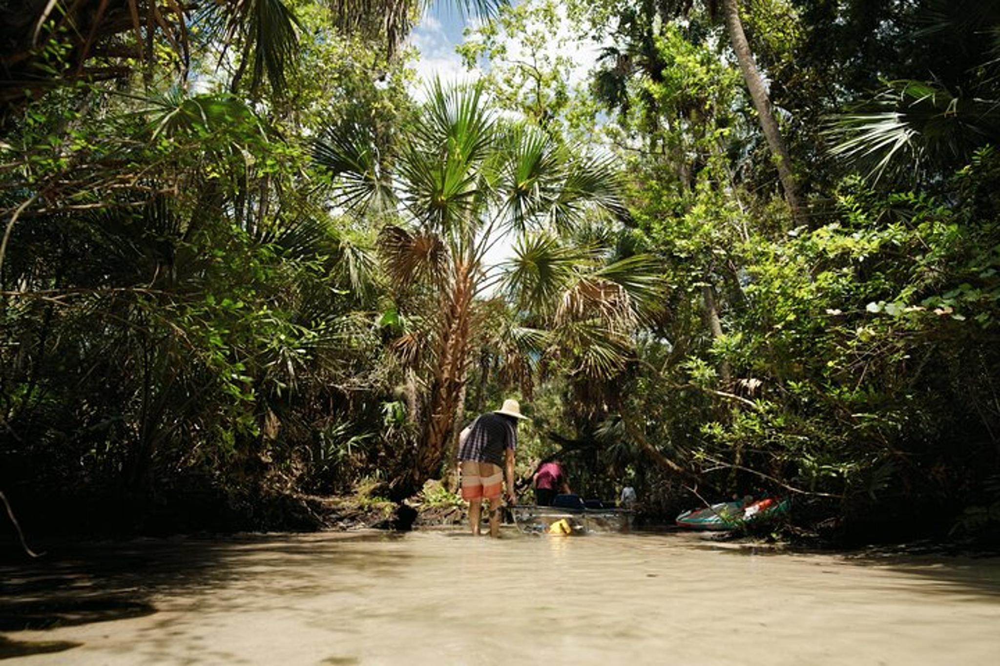 Chassahowitzka River Clear Kayak Tour - Image 5
