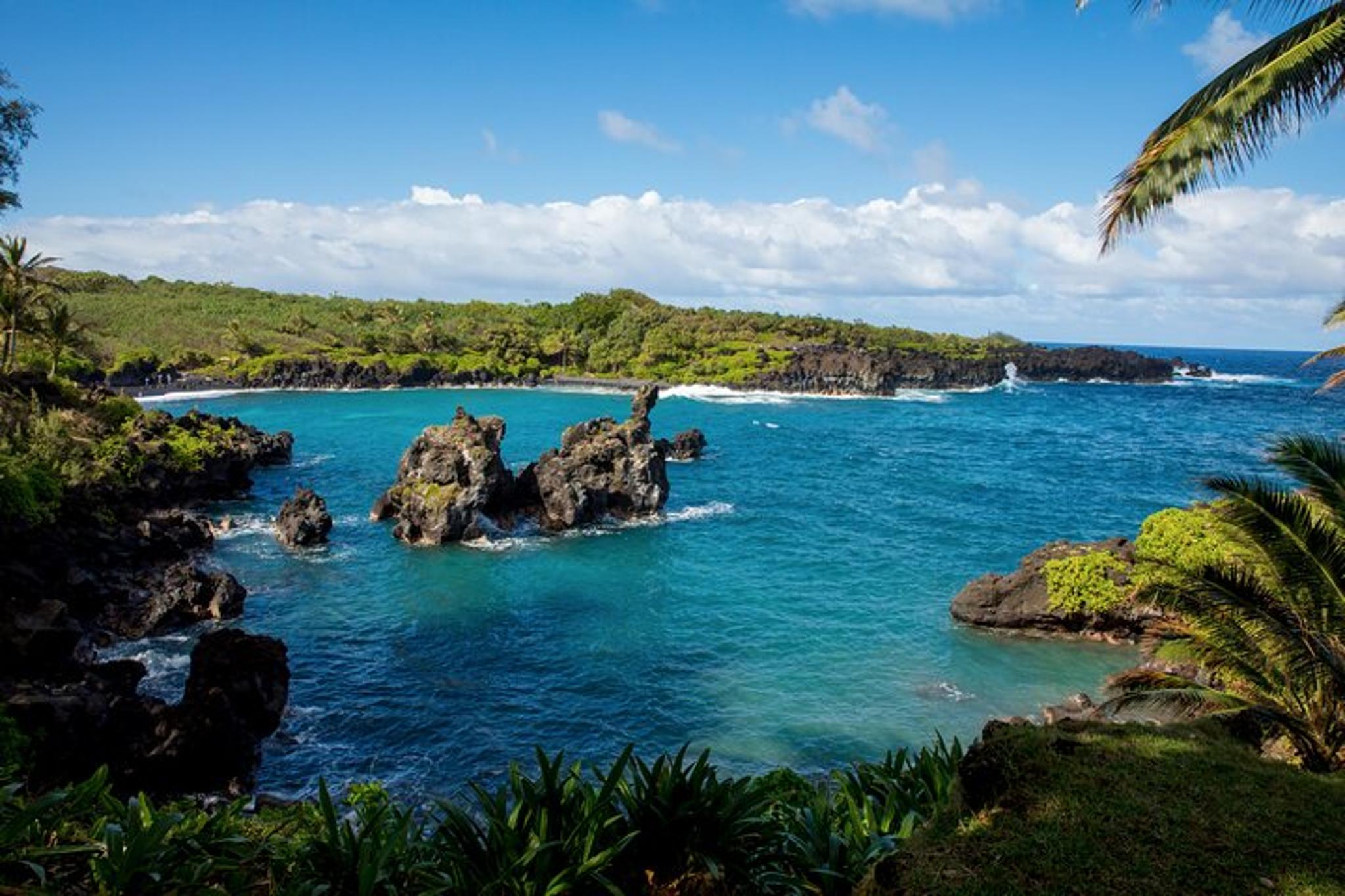 Maui Waterfall Beach and Jungle Tour - Image 4