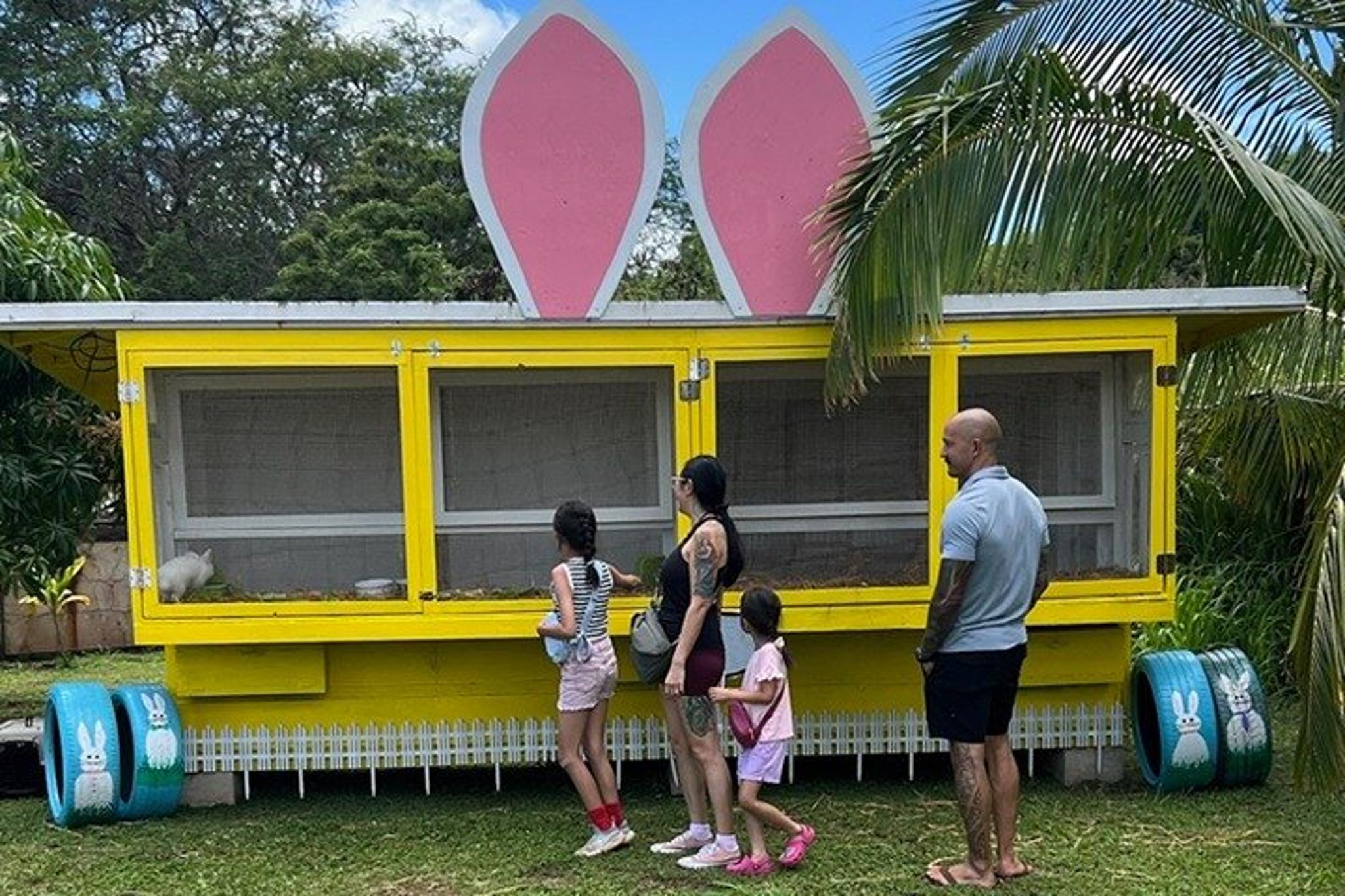Anahulu River Kayak and SUP Adventure with Lunch - Image 4