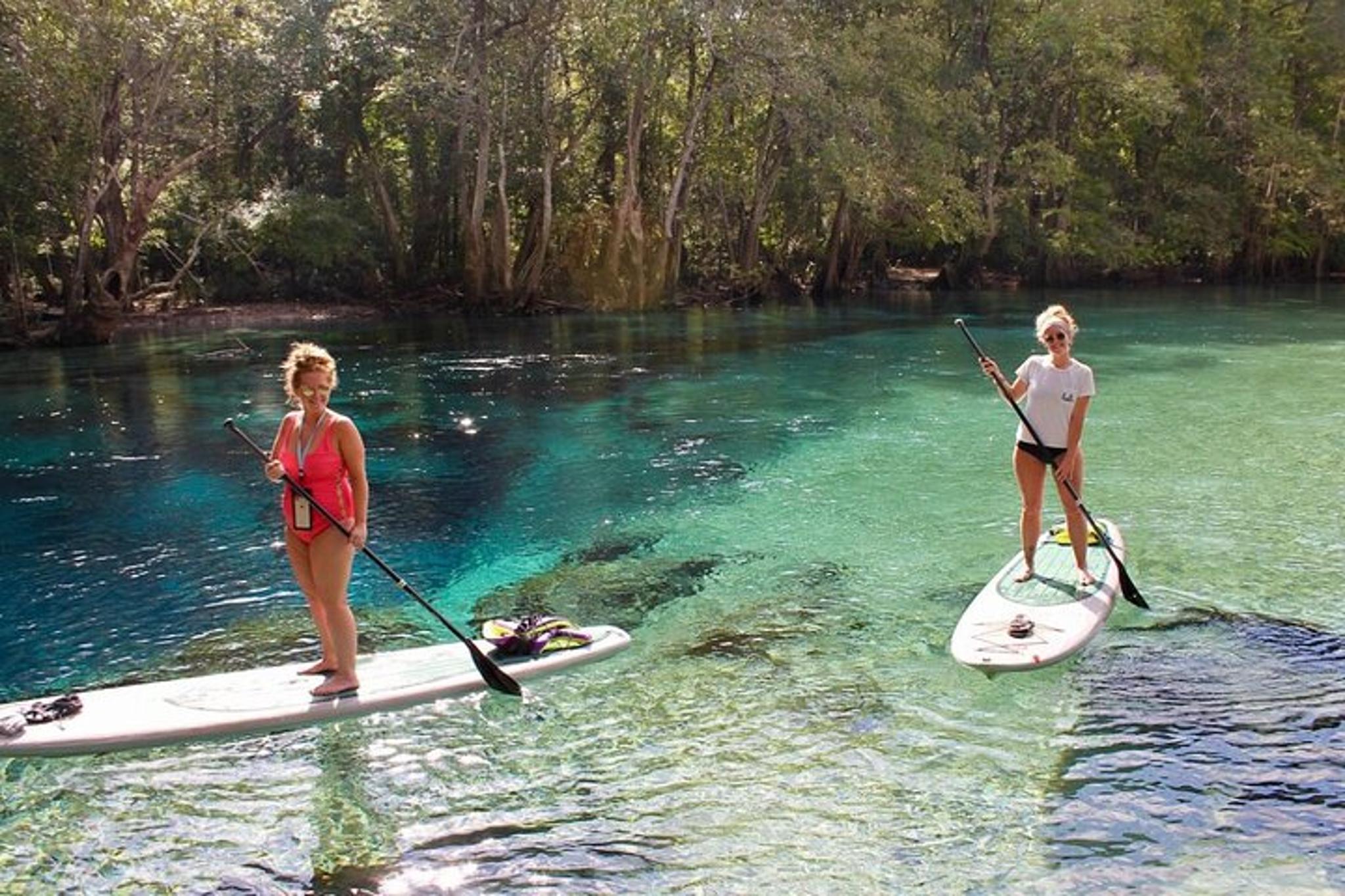 Panama City Kayak and Snorkel Eco Adventure - Image 6