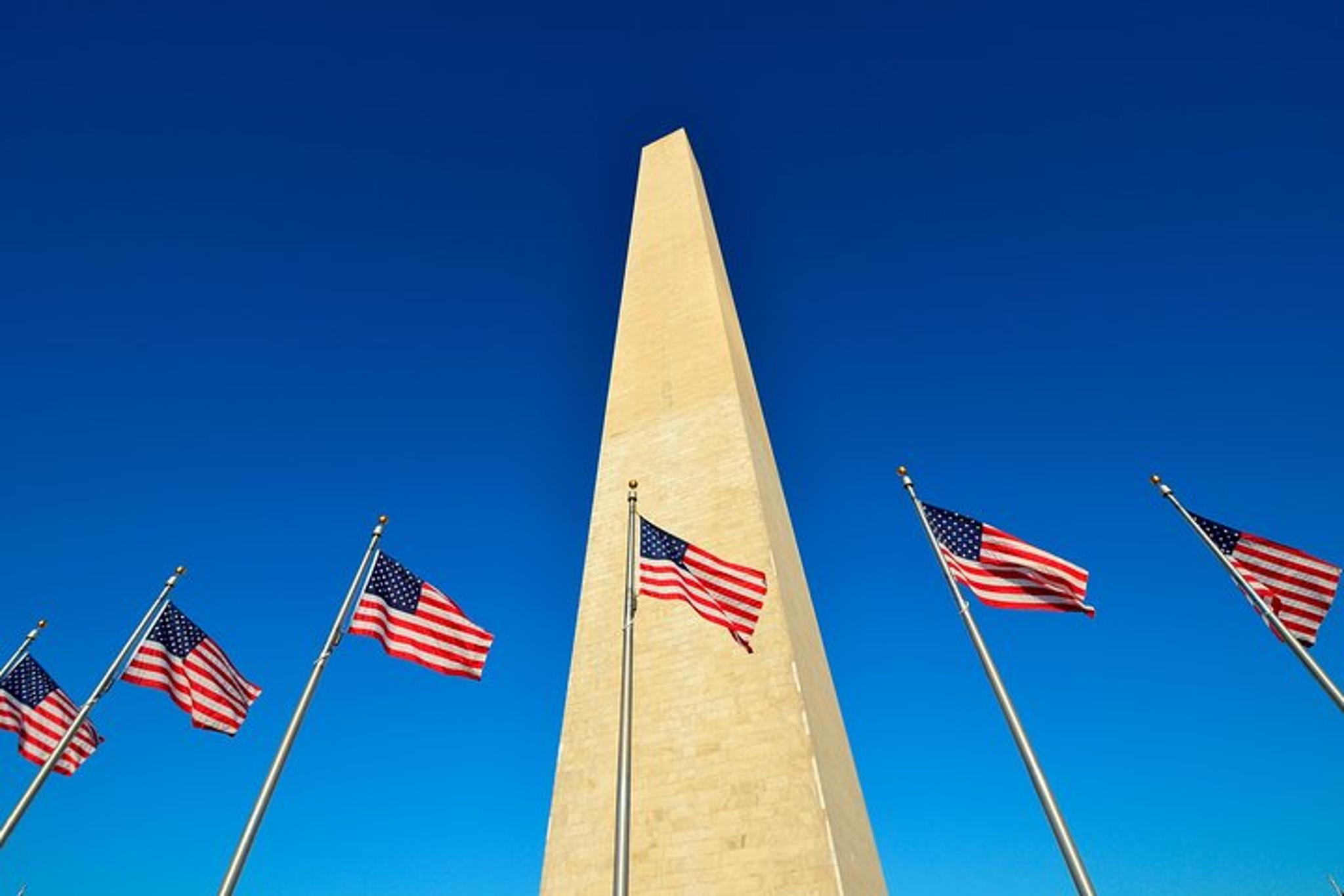 Washington DC Sightseeing Monuments Tour 3 hr - Image 2