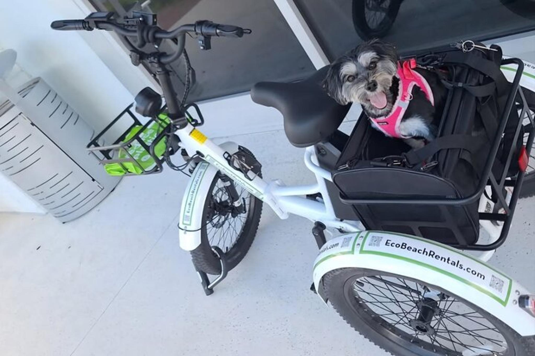 Ponte Vedra Beach Bike Tour