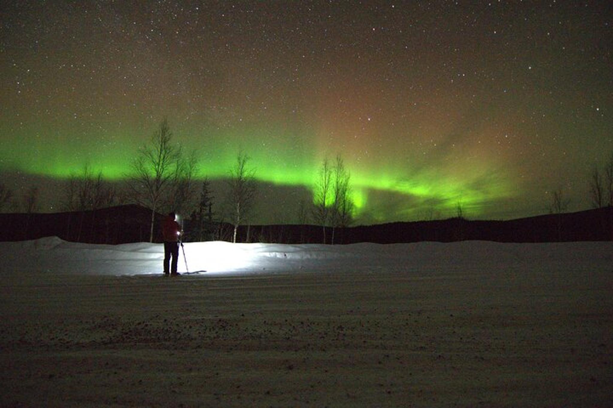 Fairbanks Chena Hot Springs Northern Lights Tour - Image 6