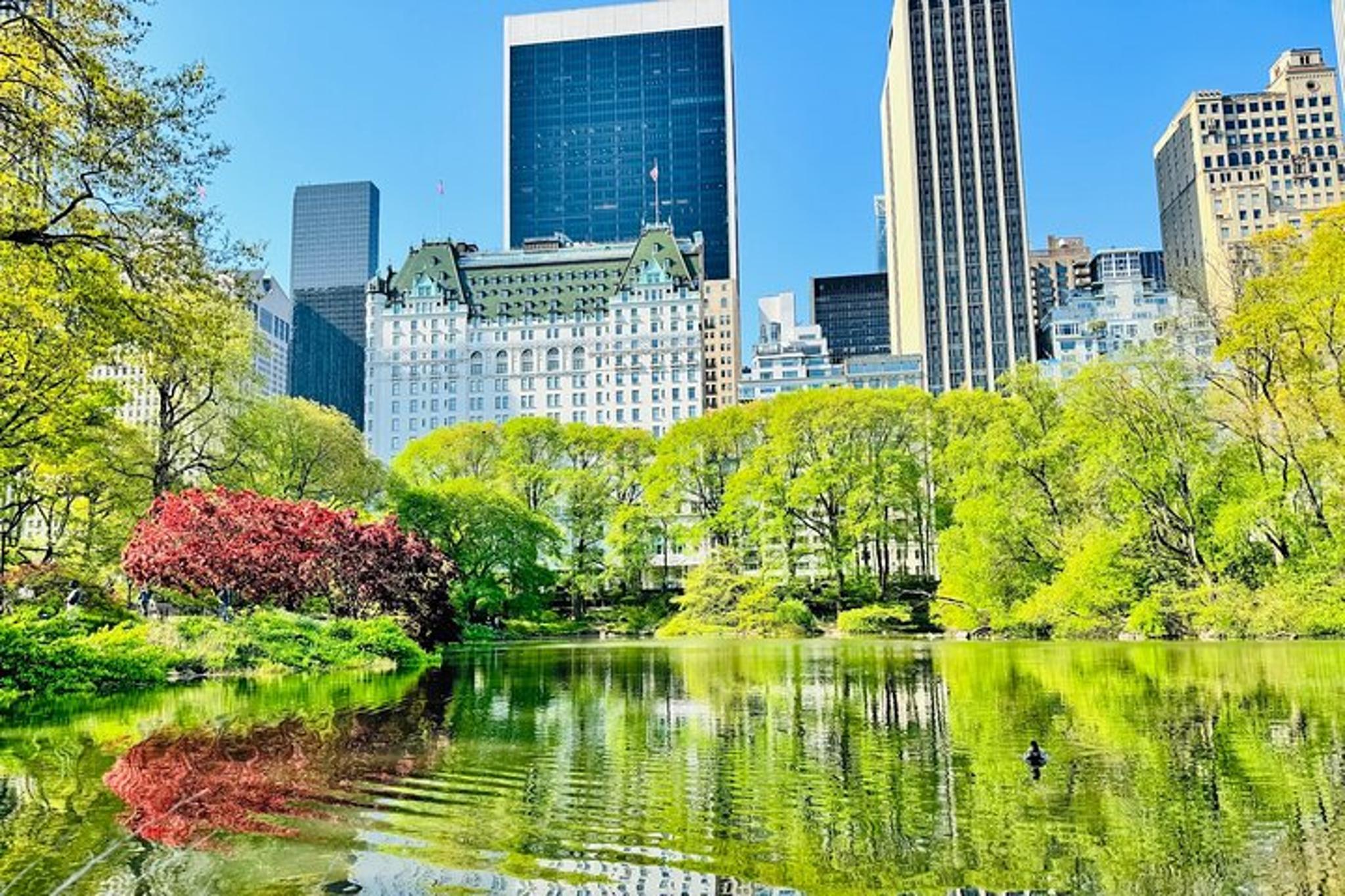 New York Central Park Pedicab Ride 60 min - Image 6