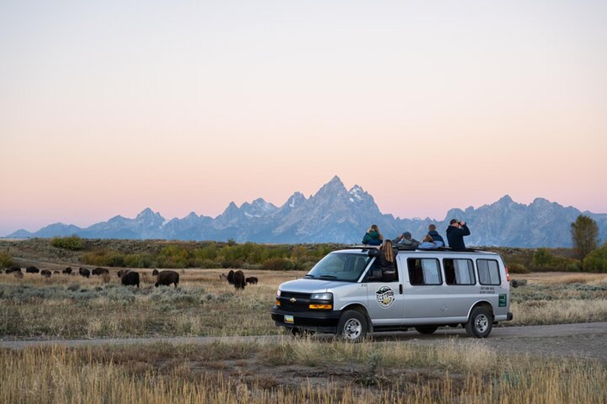 Jackson Wildlife Adventure in Grand Teton 4 hr - Image 3