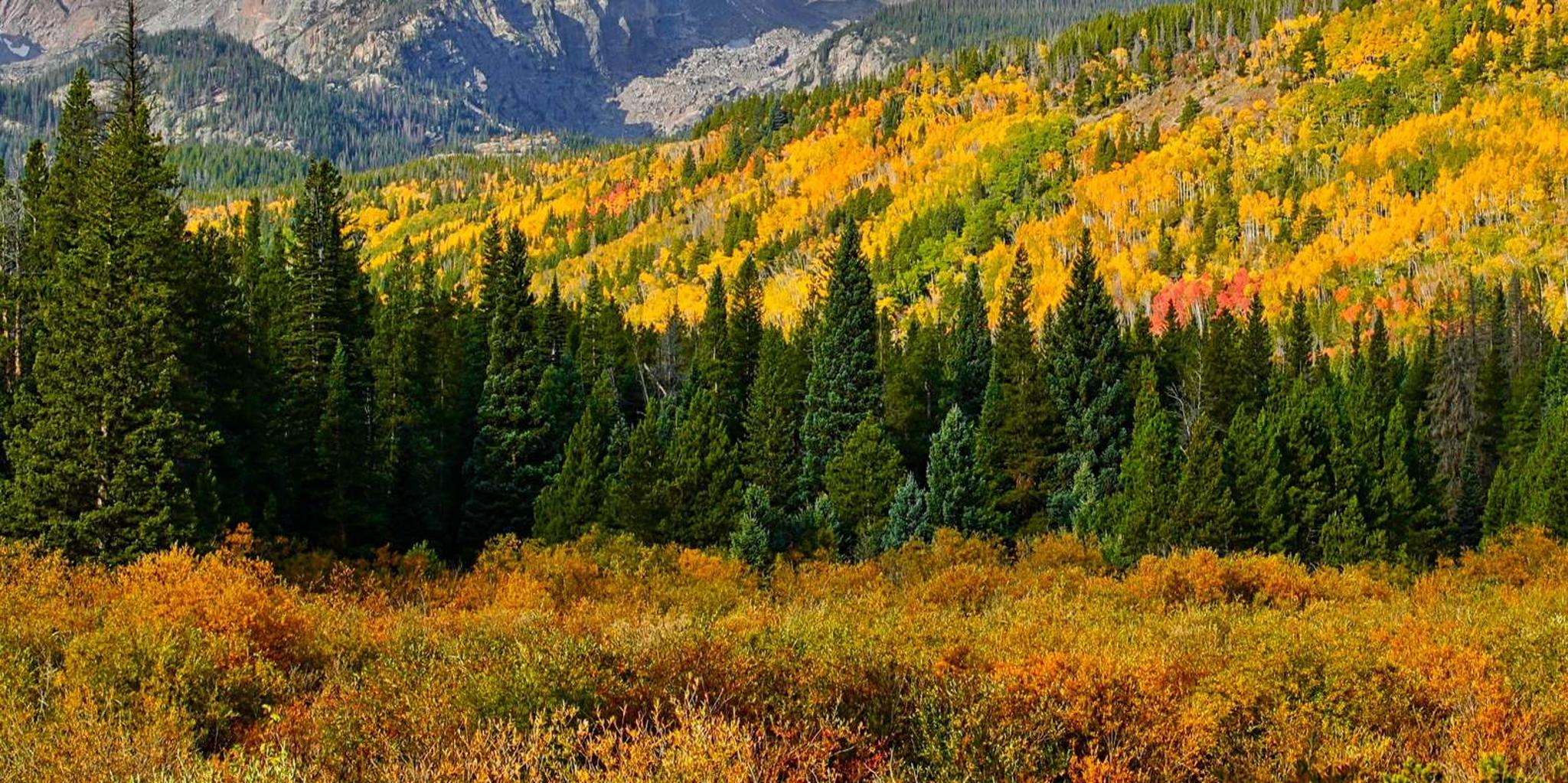 Estes Park Rocky Mountain National Park Tour - Image 3