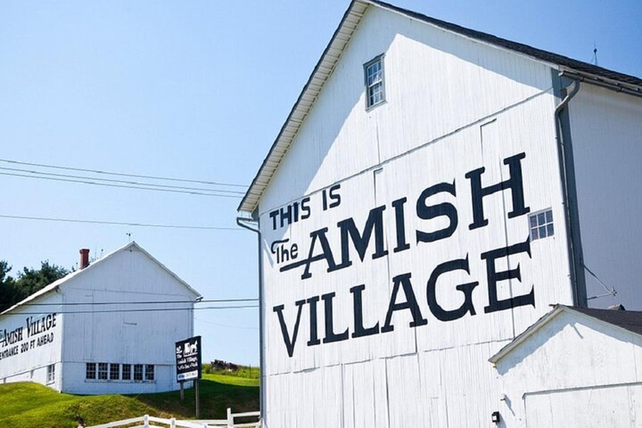 Washington D.C. Amish Farm and House Tour 8 hr - Image 3