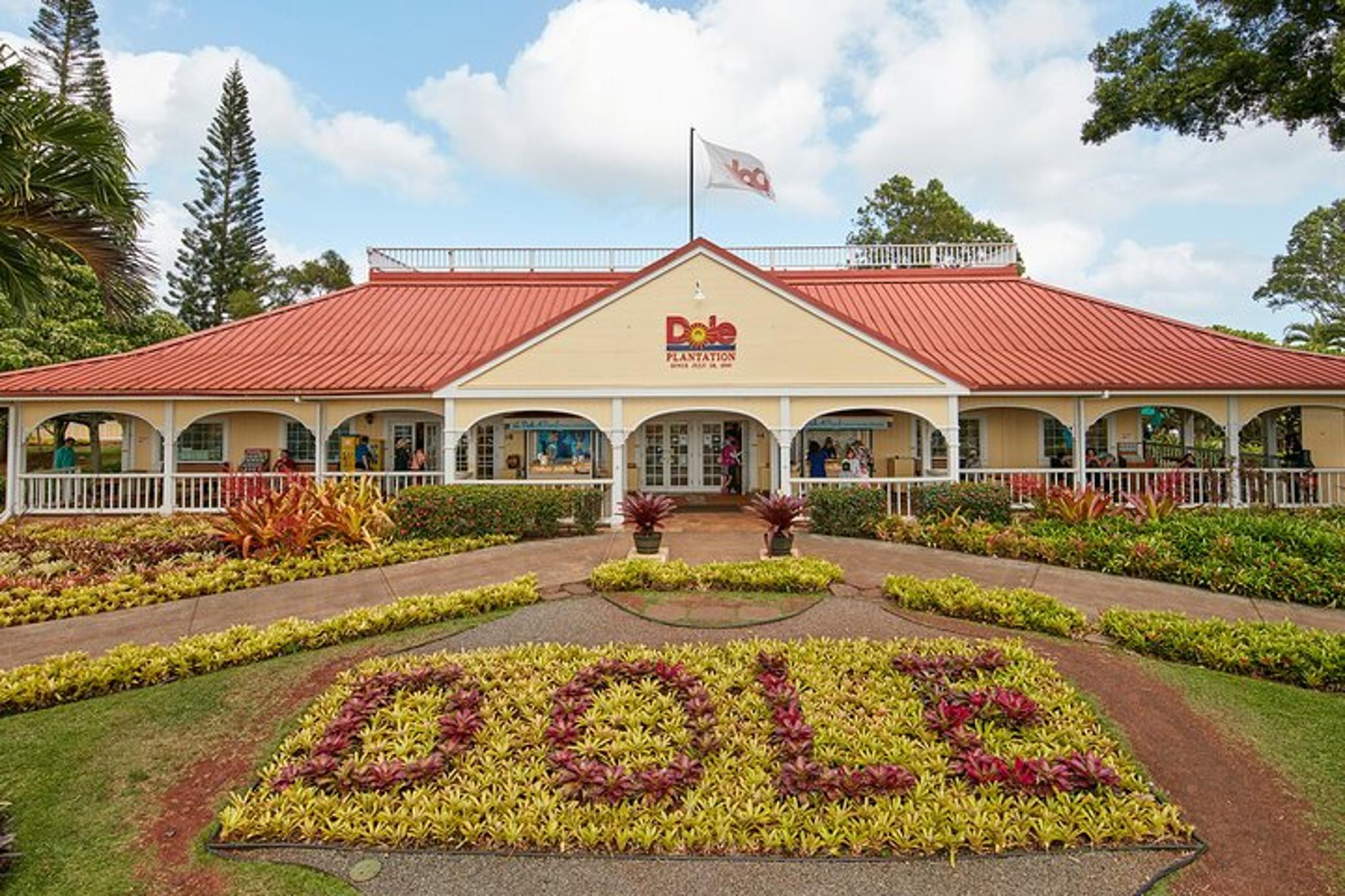 Oahu Haleiwa & Dole Plantation Tour - Image 5