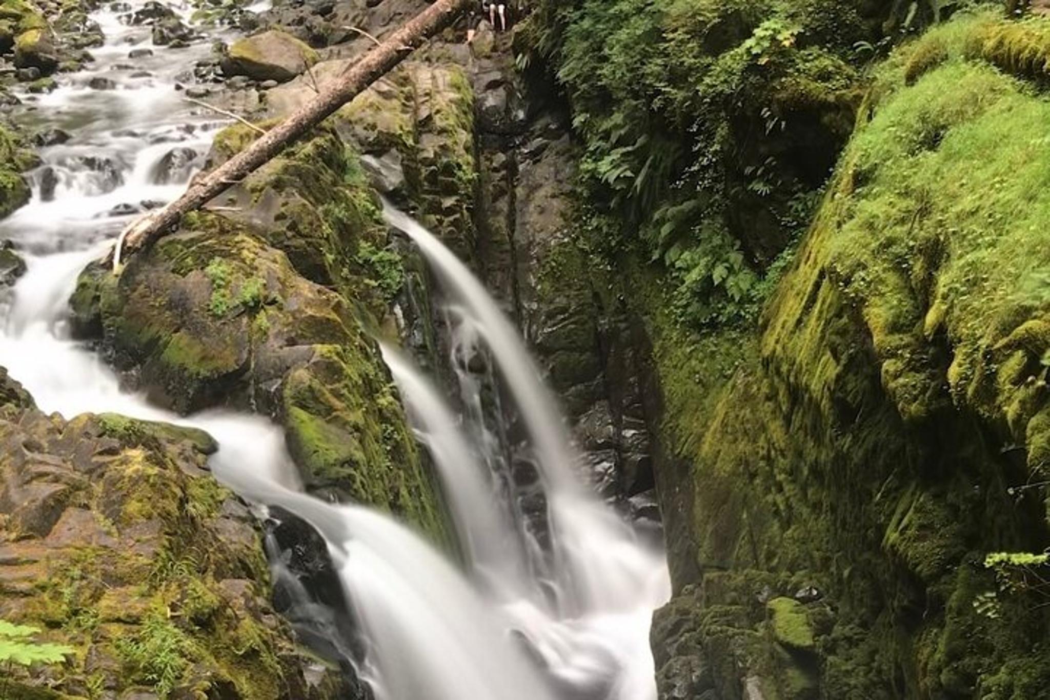 Seattle Olympic National Park Day Tour
