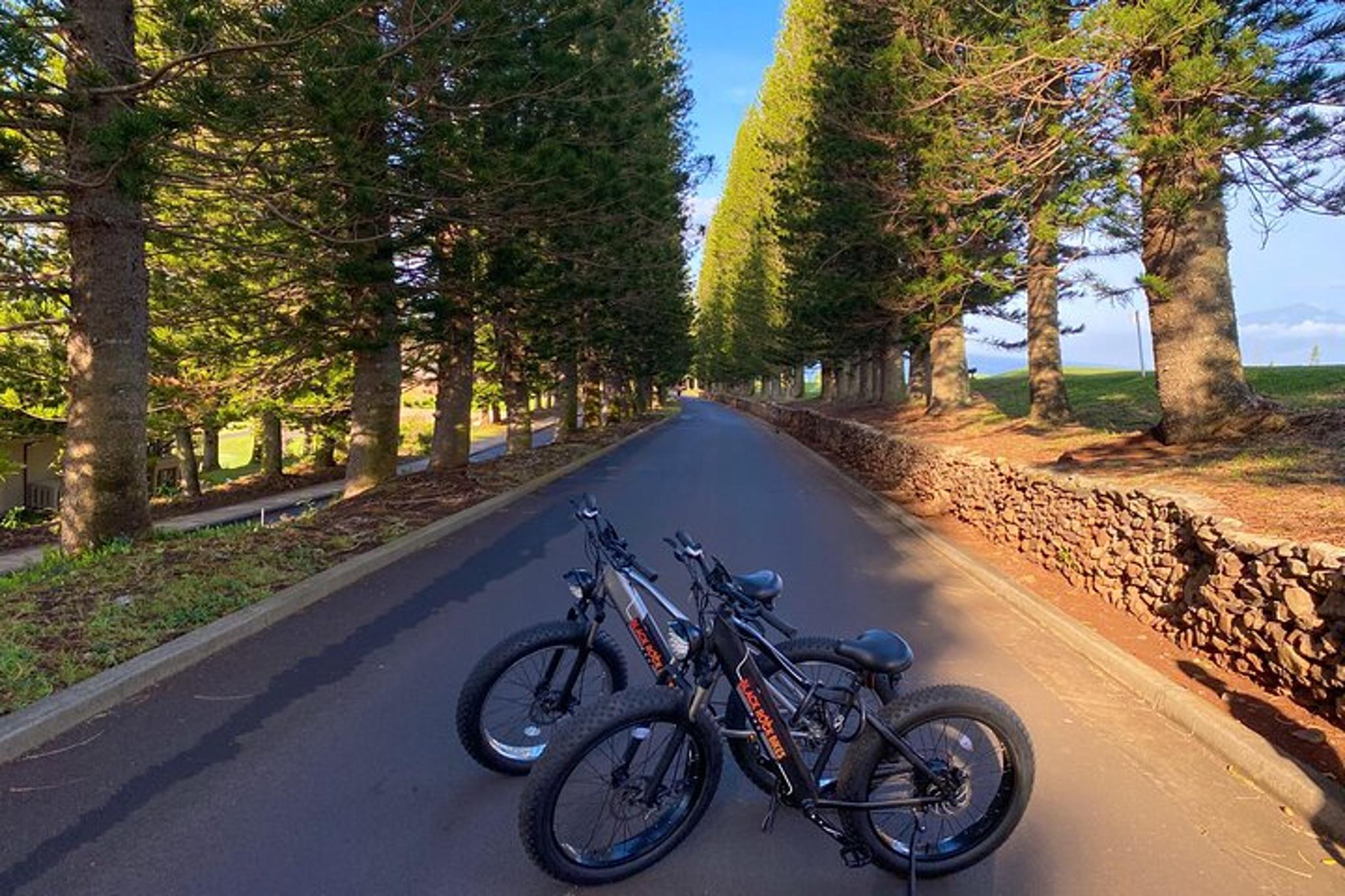 Maui Electric Bike Rentals - Image 4