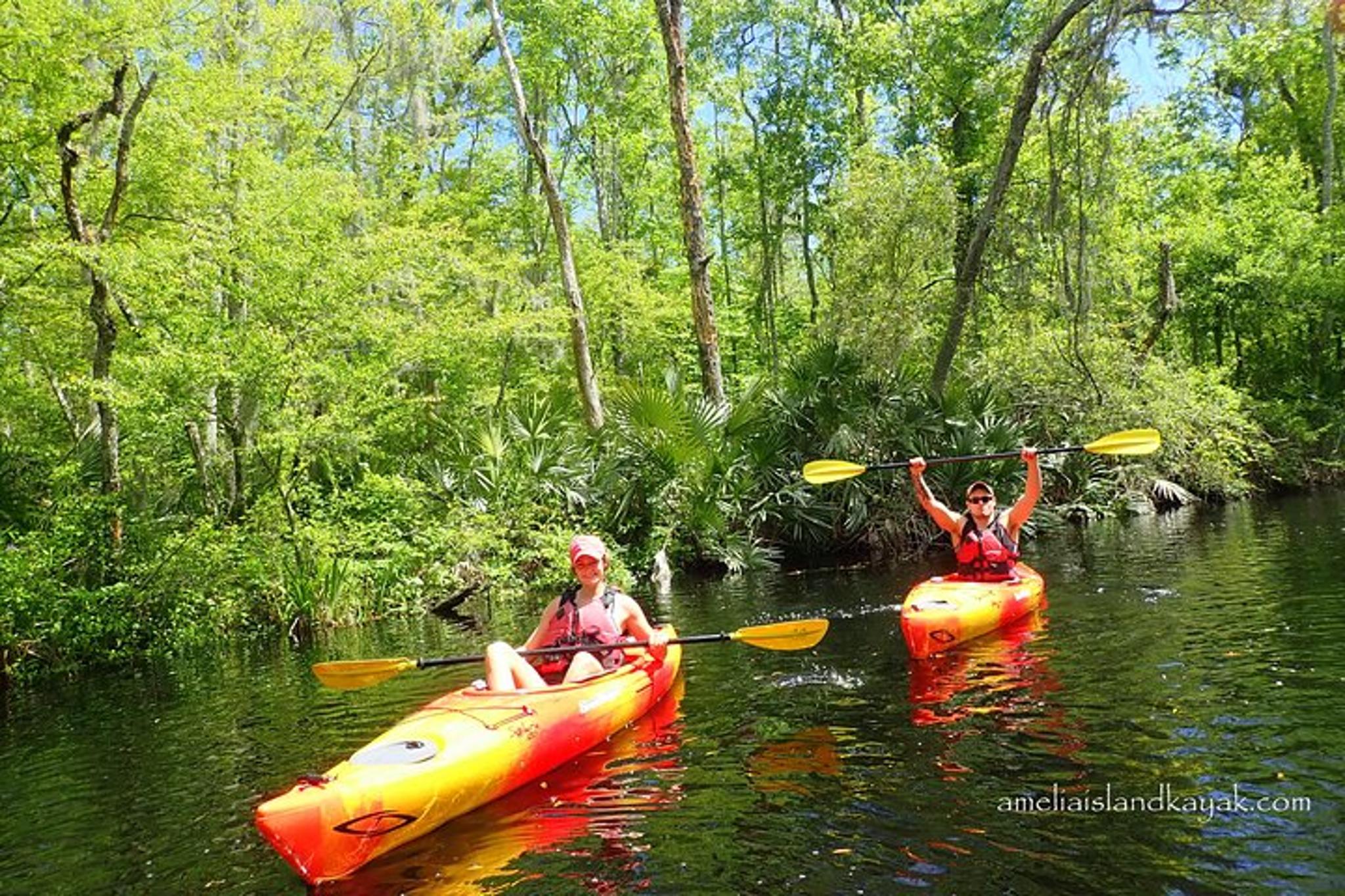 Amelia Island Kayak Rental Experience - Image 1