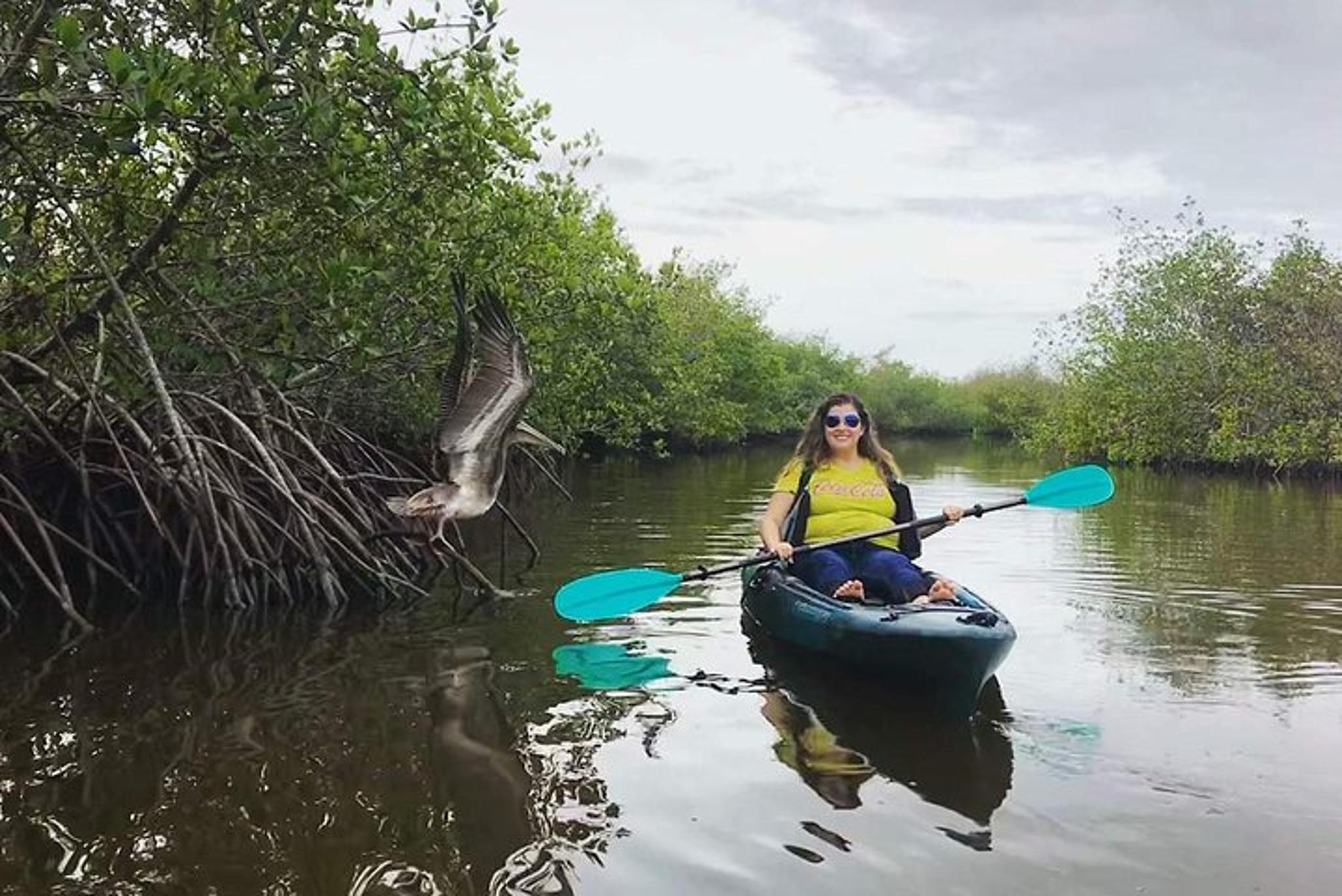 Cocoa Beach Mangrove Tunnel Kayak Tour - Image 4