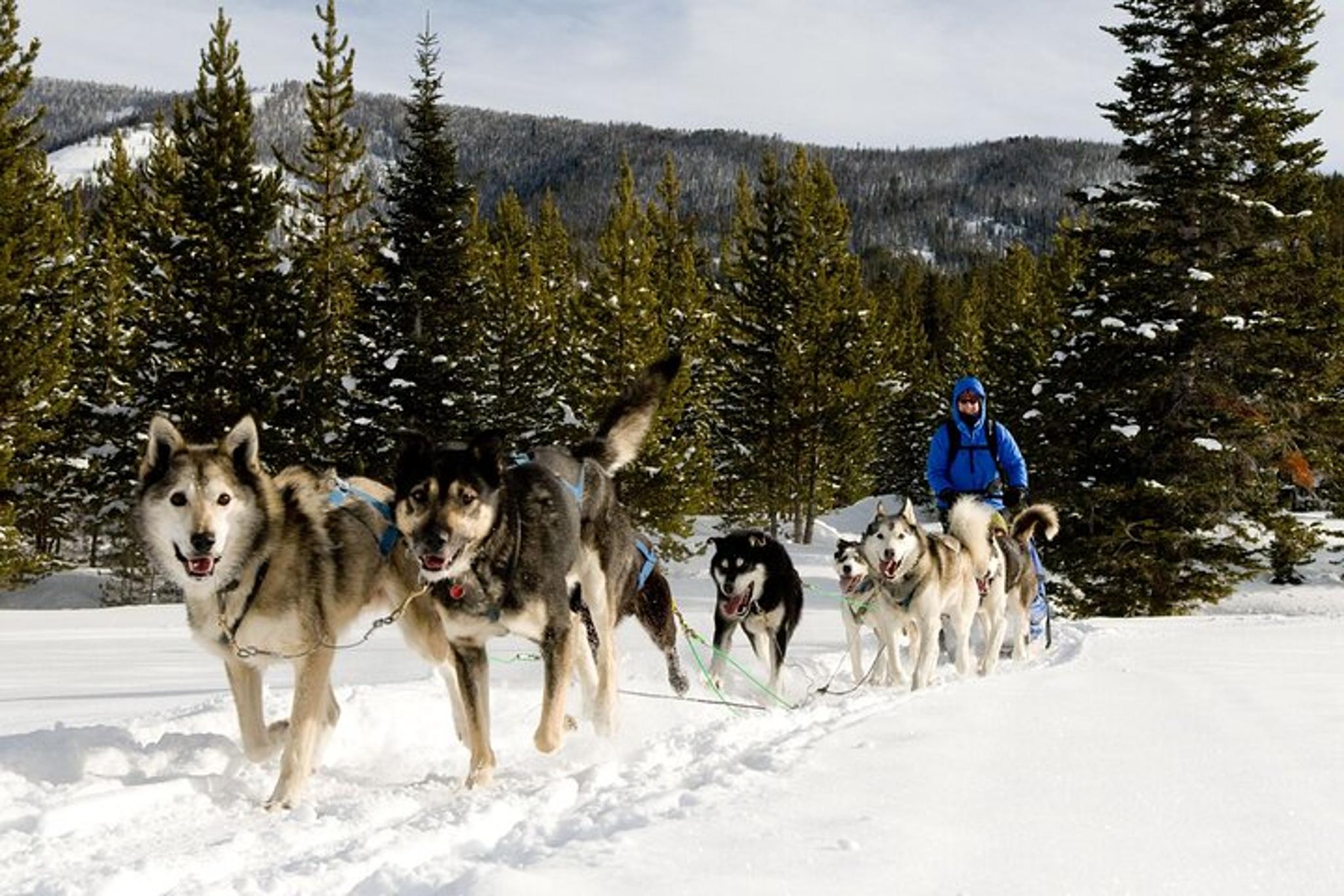 Yellowstone National Park Winter Tour 6 Days - Image 5