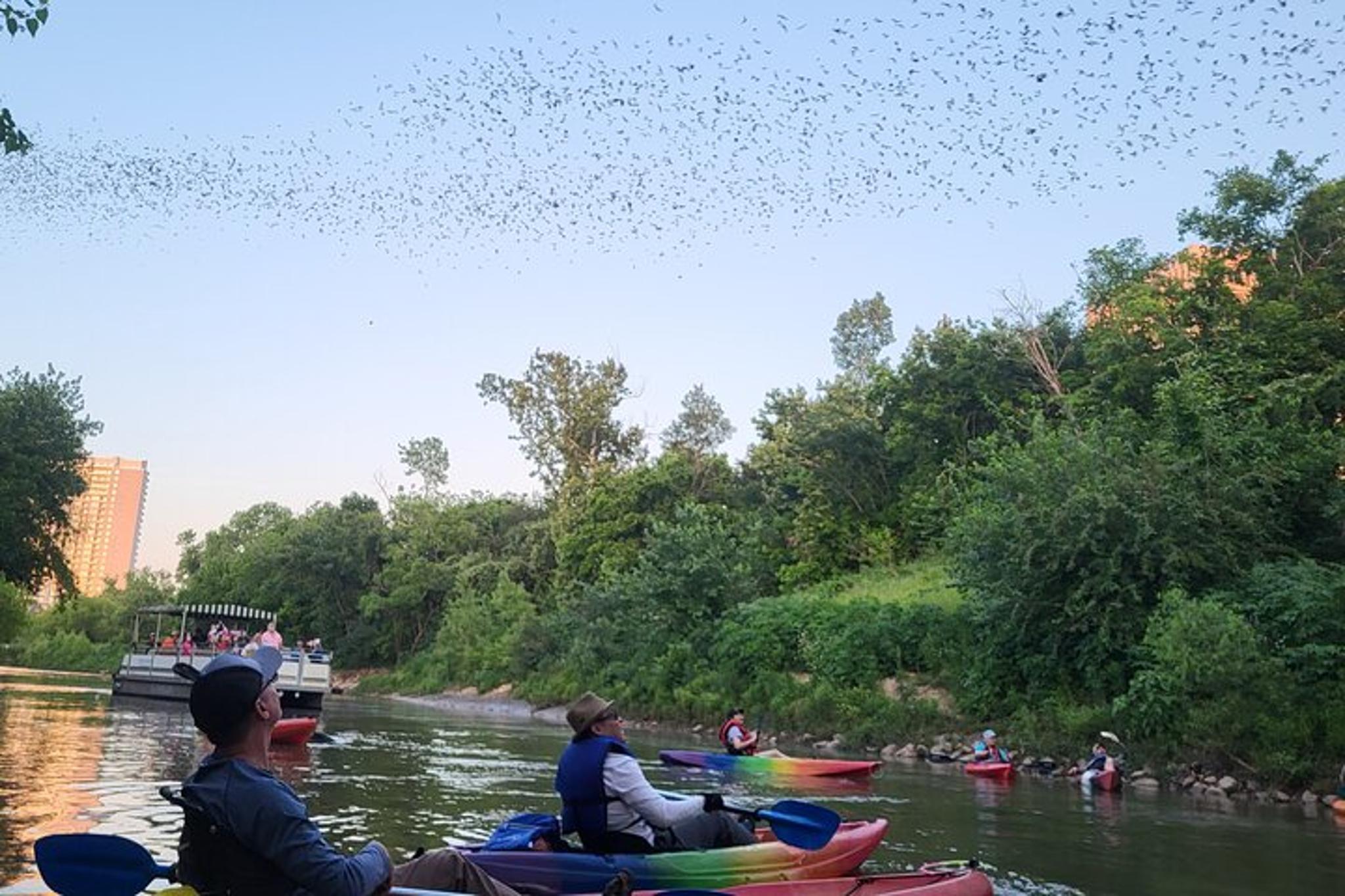 Houston Bat and Skyline Kayaking Tour - Image 2