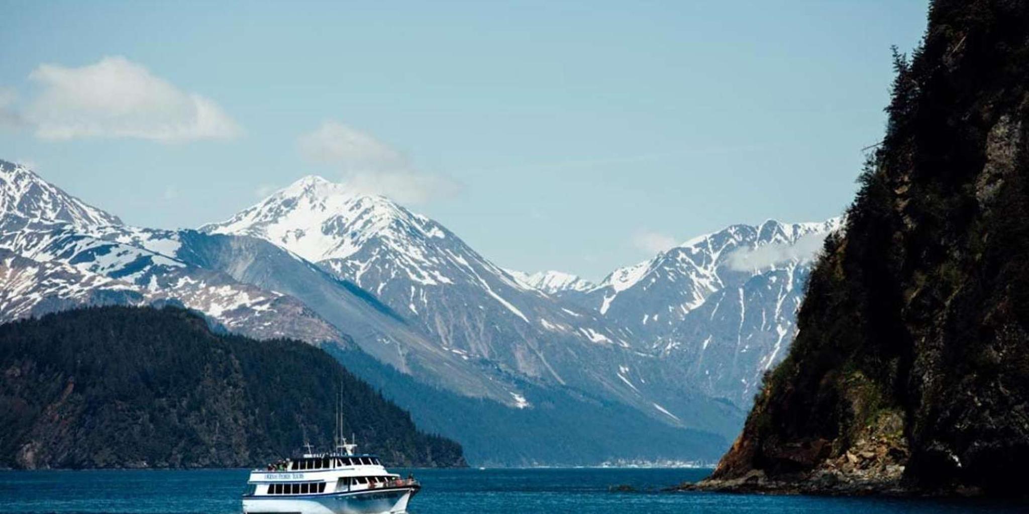 Seward Kenai Fjords Glacier & Wildlife Cruise 6 hr - Image 3