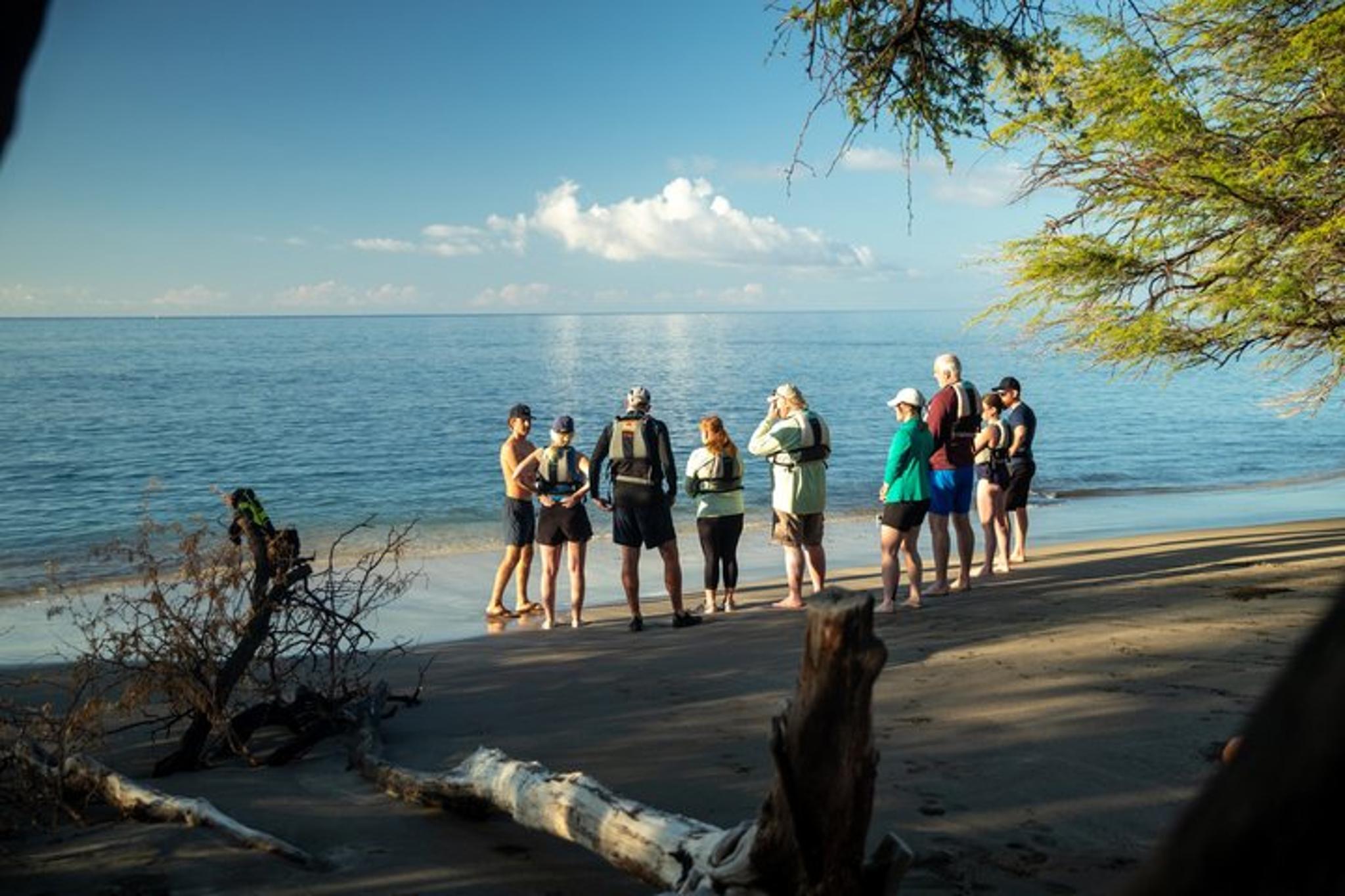 Maui Kayak and Turtle Snorkel Tour - Image 5