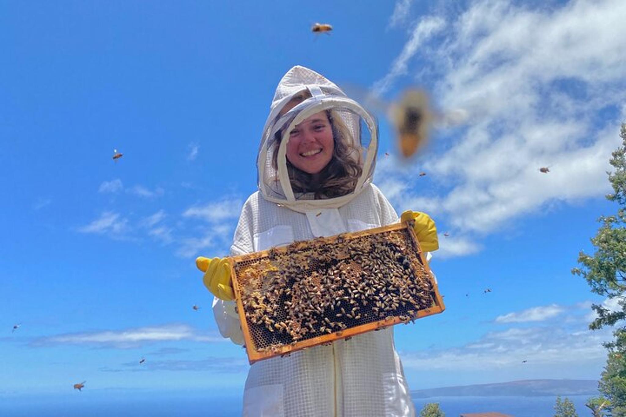 Maui Honey Bee Adventure - Image 5
