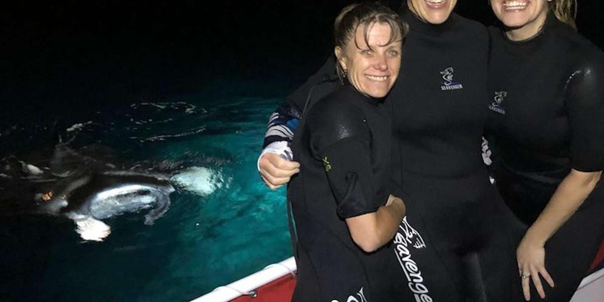 Kona Manta Ray Night Snorkel - Image 3