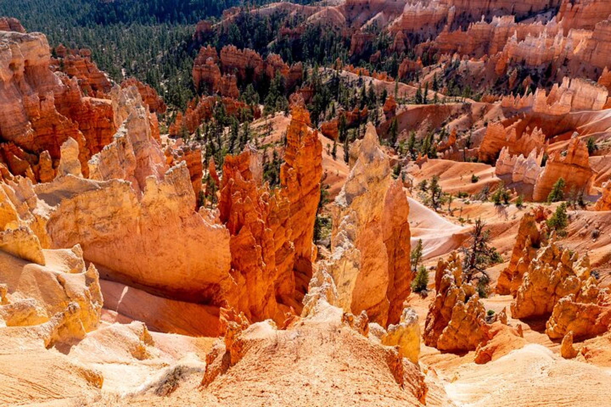 Las Vegas Bryce Canyon & Zion National Park Day Tour - Image 3