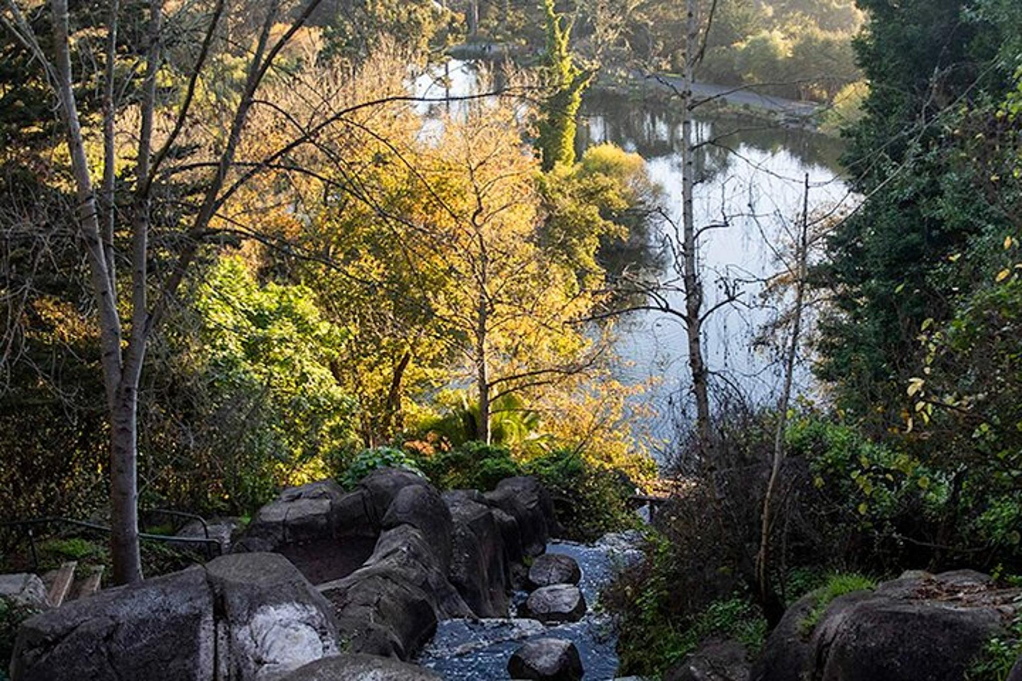 San Francisco Golden Gate Park Self-Guided Tour - Image 5