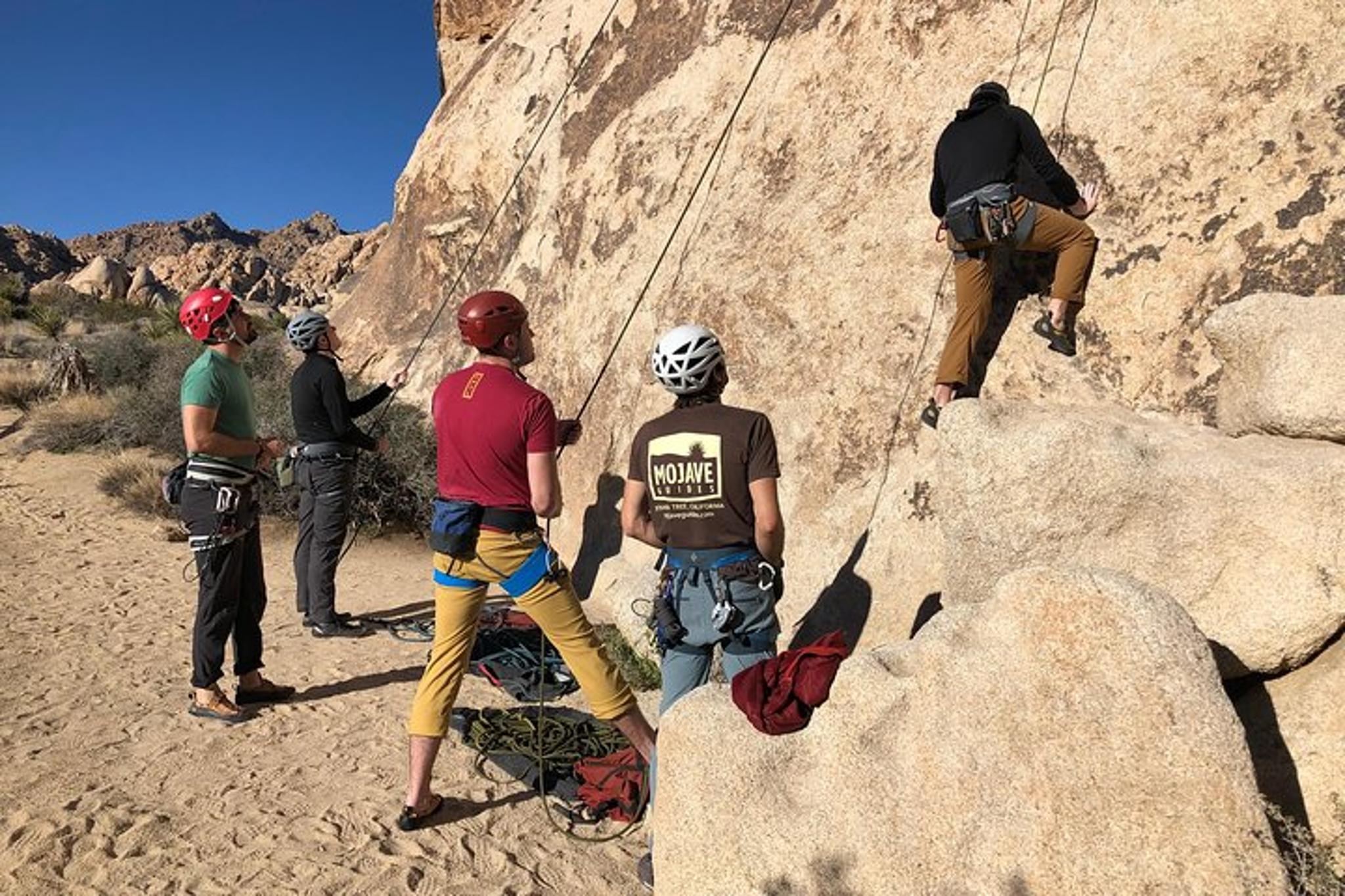 Joshua Tree Rock Climbing Adventure