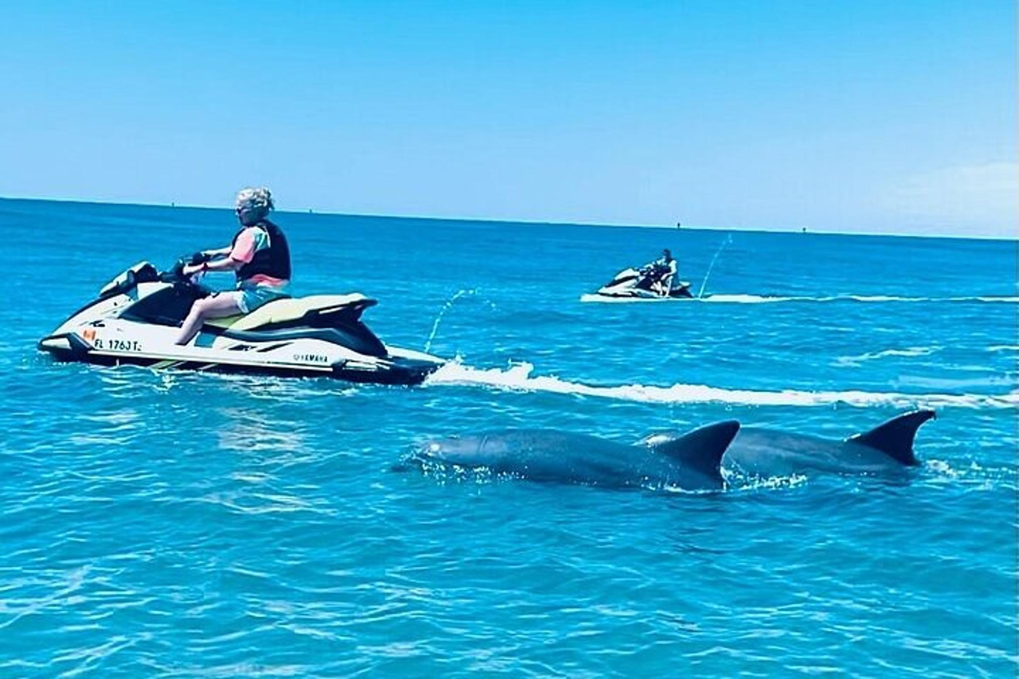 Panama City Beach Jet Ski Dolphin Tour 2 hr