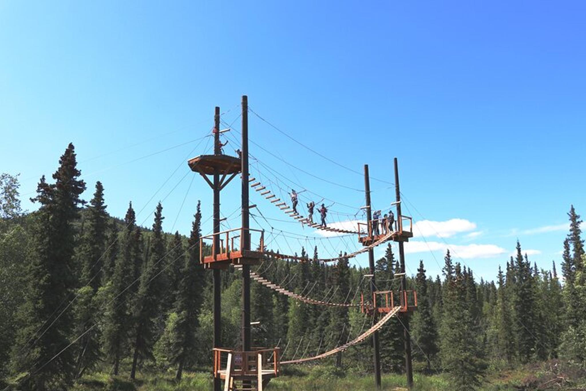Denali Zipline and Brewpub Visit Half-Day Adventure