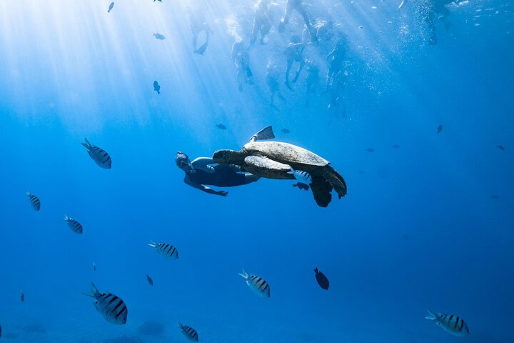 Waikiki Private Boat Charter - Image 4