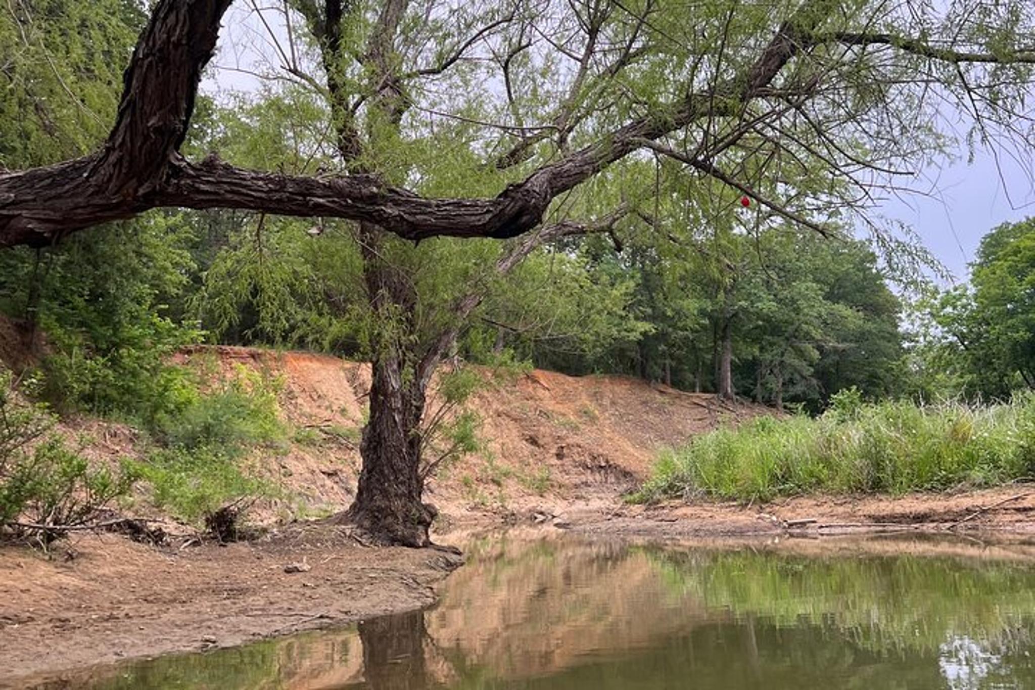 Grapevine Lake Kayak Eco Tour - Image 6